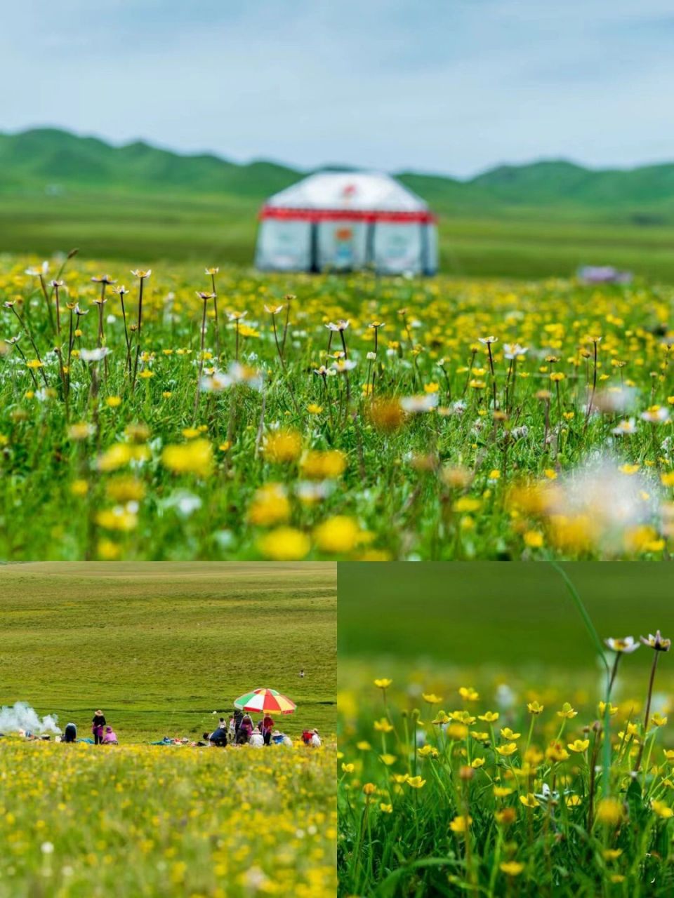 红原—若尔盖大草原图片