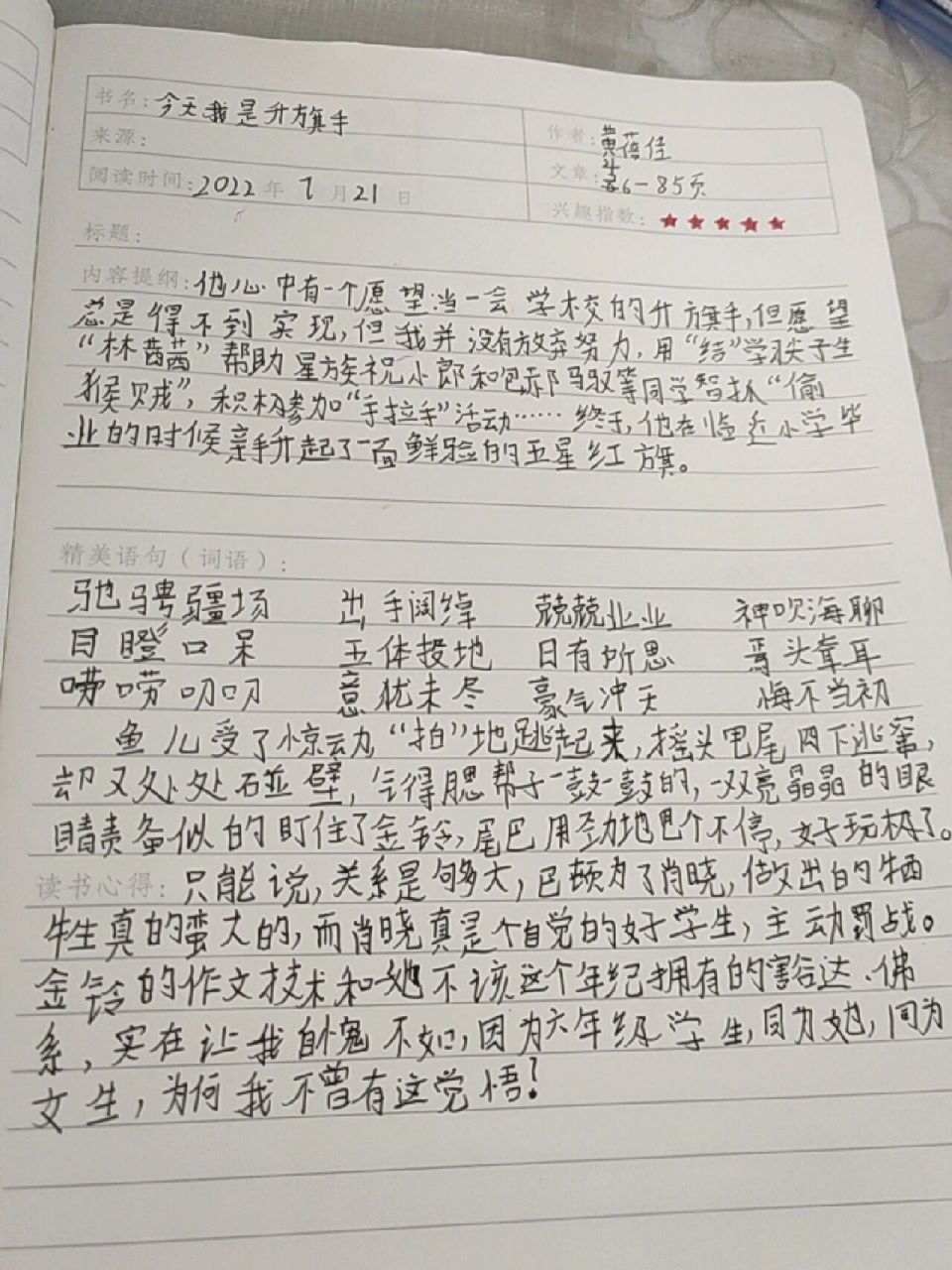 今天我是升旗手 读书笔记