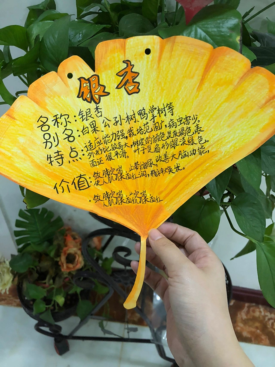 手工树牌银杏树 银杏手工树牌,很简单,大家一起来制作吧