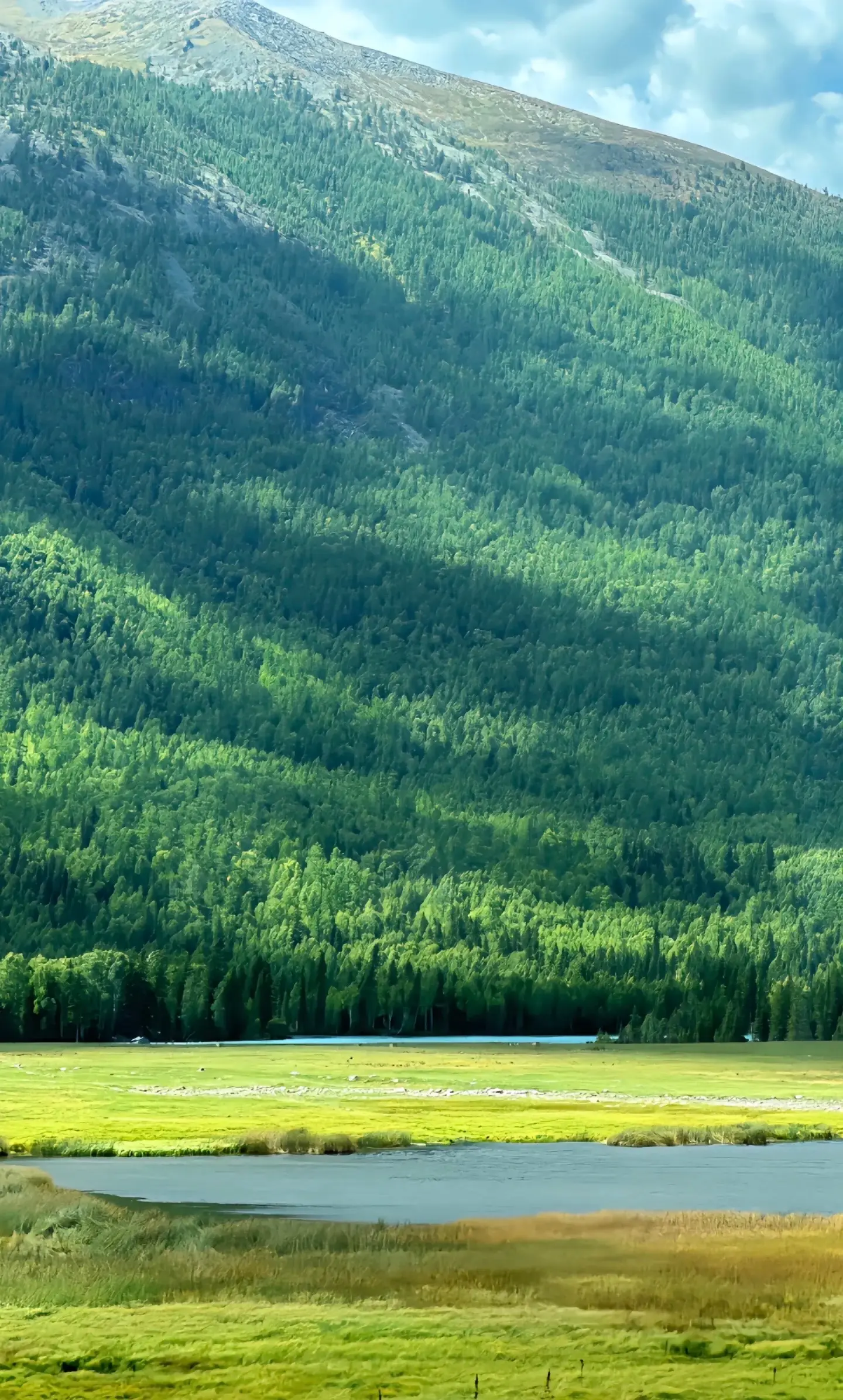新疆的天气在线