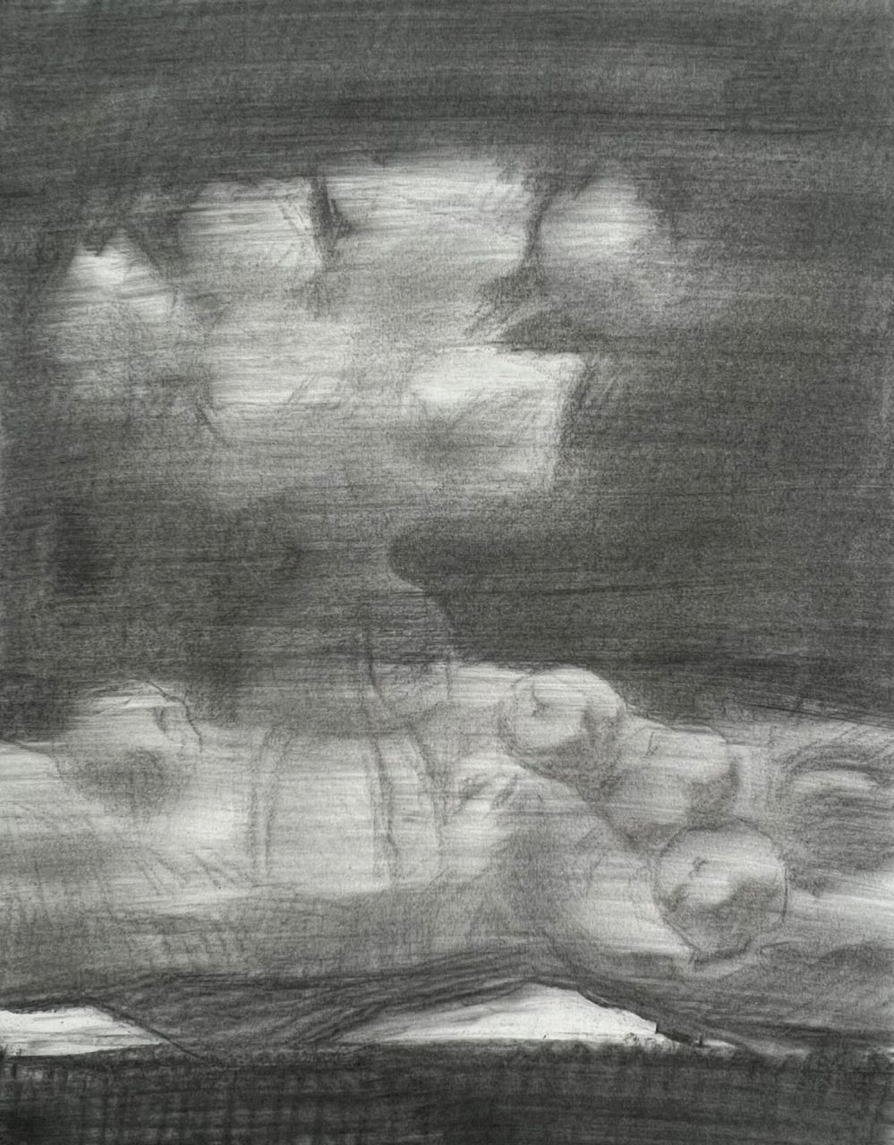 花卉素描静物组合-完整步骤 木炭条素描方法与技巧 最近我尝试使用