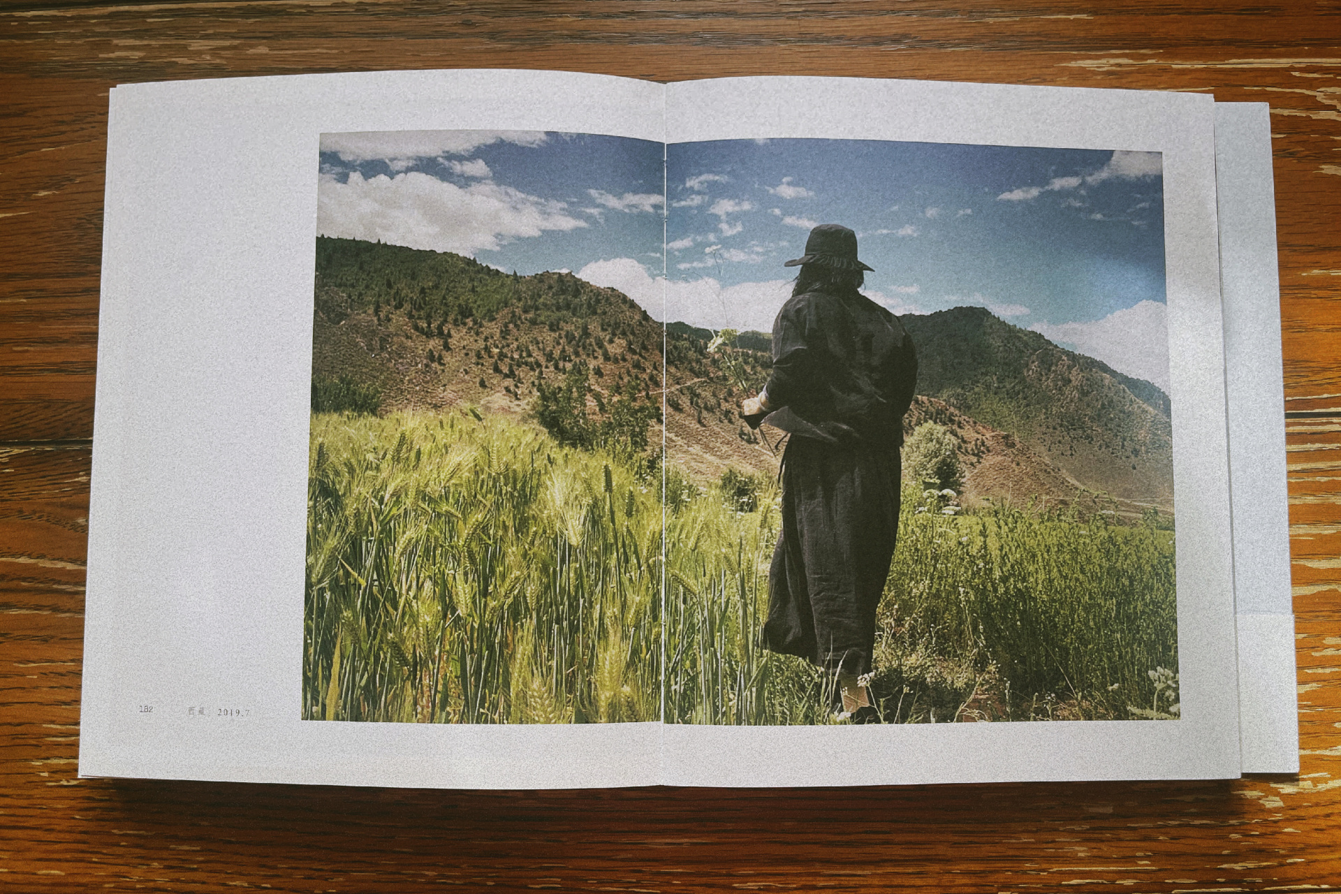 文字和摄影,不同的能量载体庆山-安妮宝贝