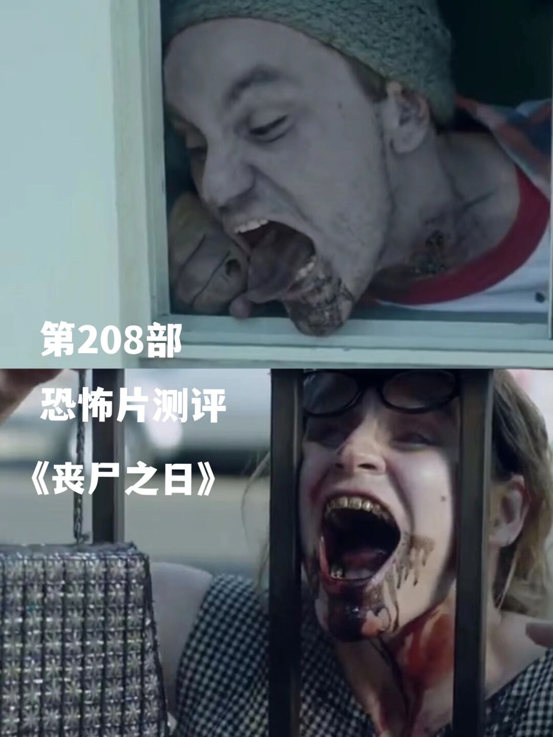 简介 - 人类社会正在历劫一场丧尸灾难♂ 普通百姓颠