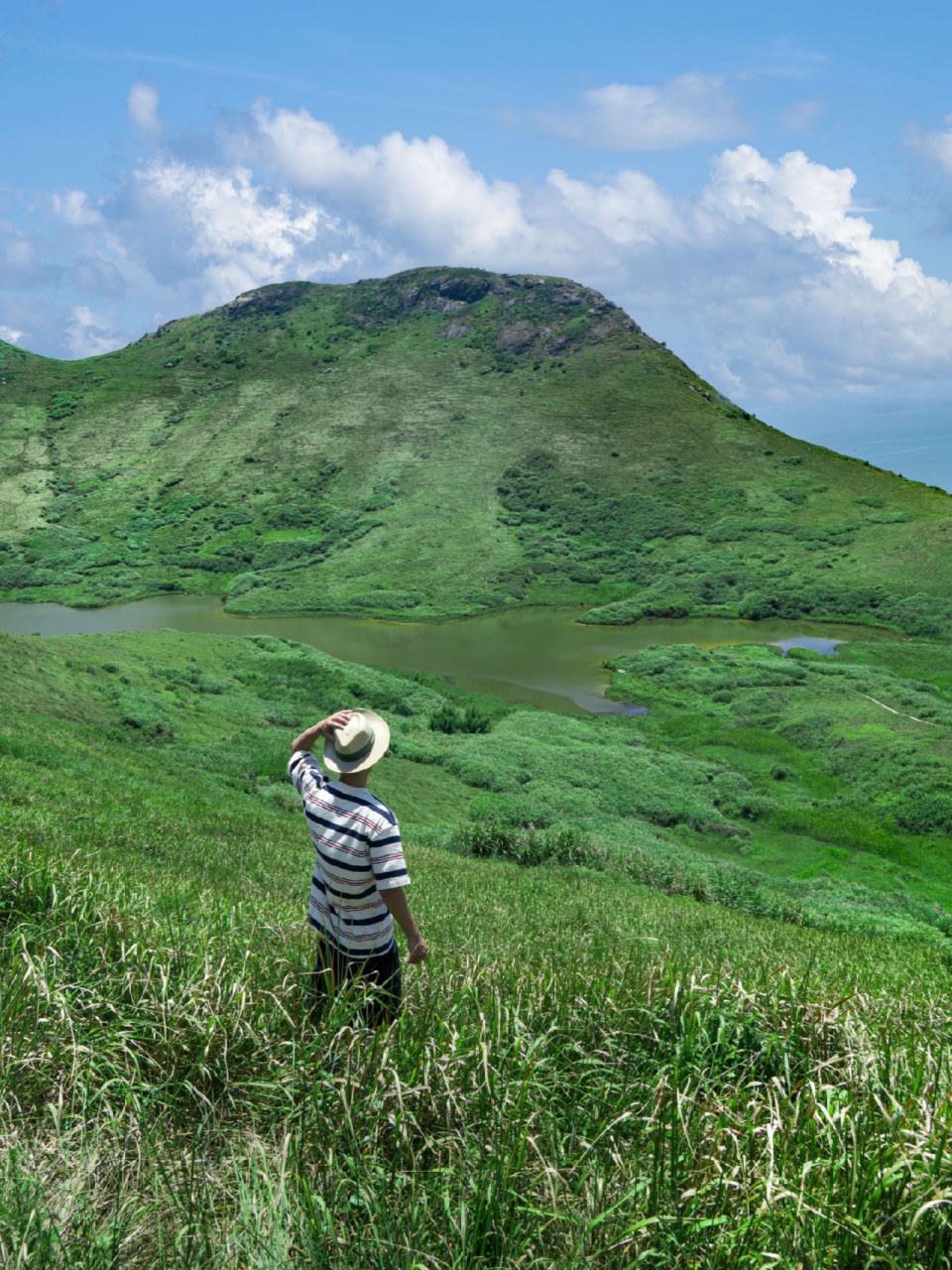 高山大海挡不住图片