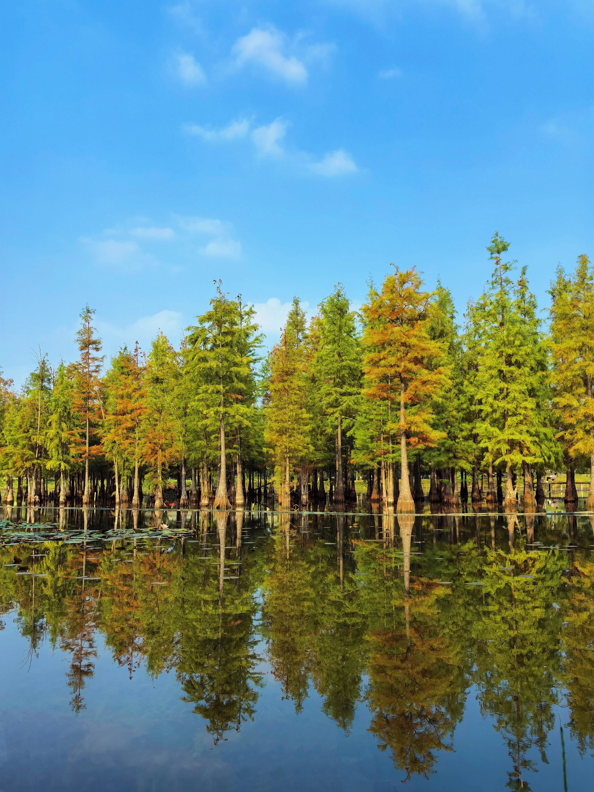 白鹭湾湿地公园好适合休闲骑