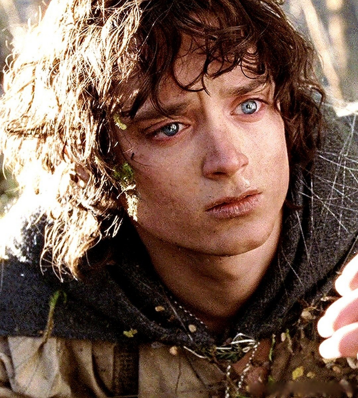 还记得《指环王》里的弗罗多吗?