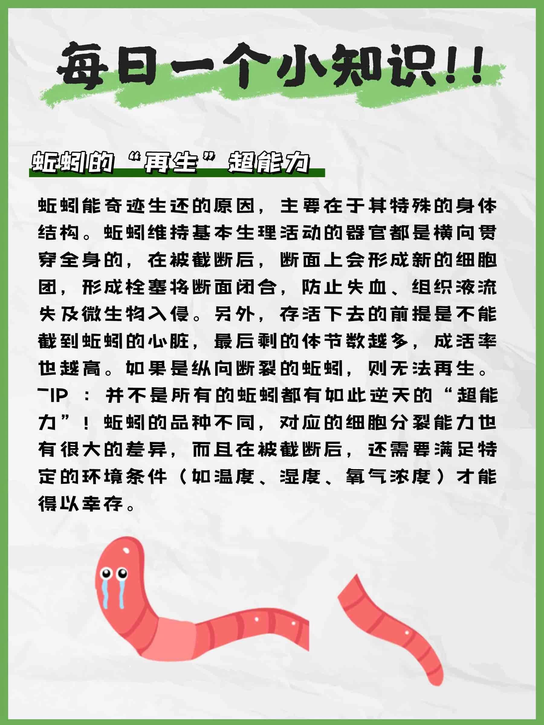 每日一问|为什么蚯蚓截断还能活71