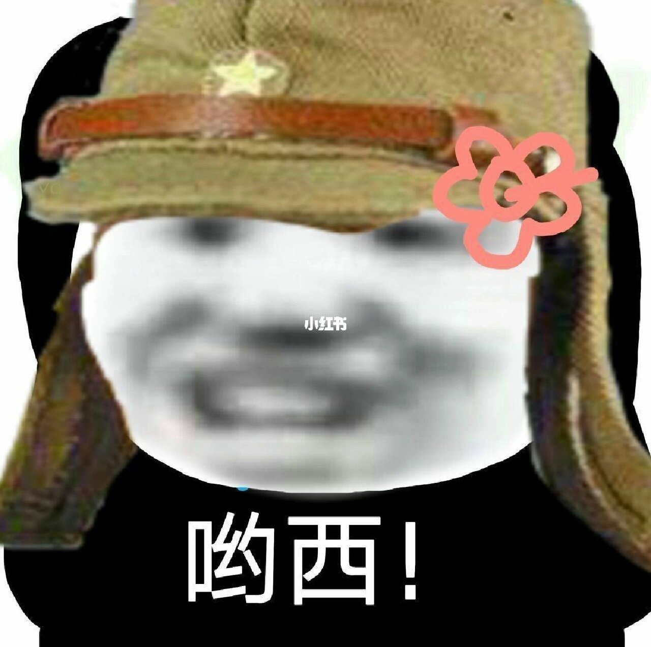 日本熊猫头表情包哇!