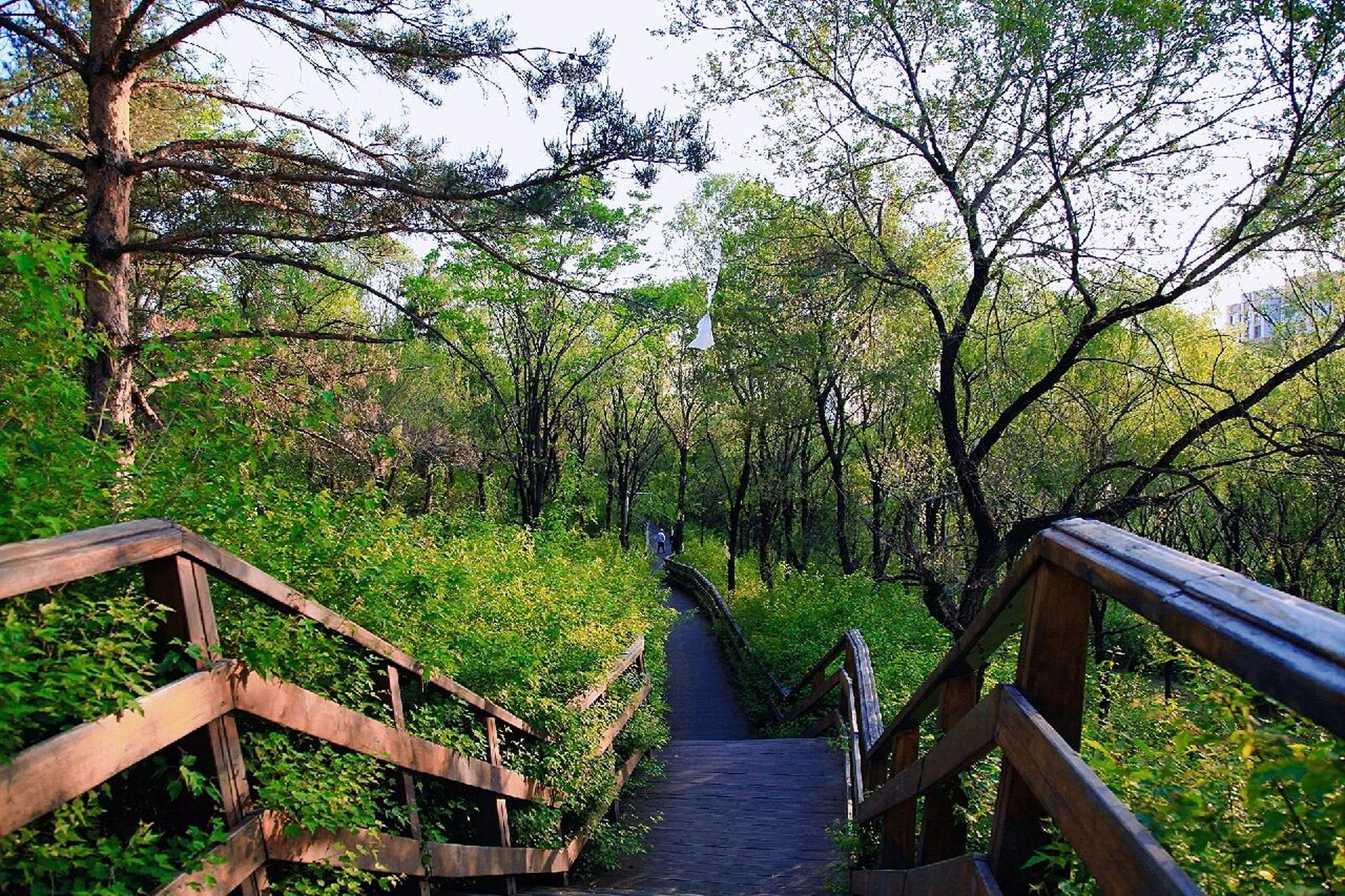 玄天岭文化公园   玄天岭地处吉林市城区北侧,是一处具有得天独厚自然