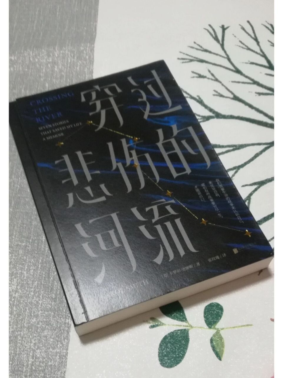 破茧重生|治愈人心的真实故事 06人生在世总是有伤与痛的,每个人的