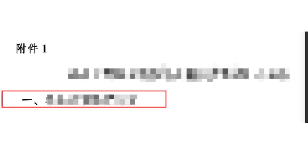 求助,哪个pdf文件可以把文字马赛克成图片