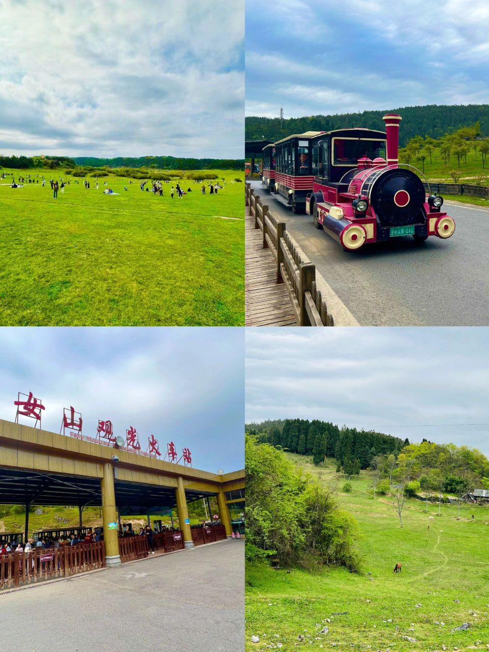 仙女山大草原介绍图片