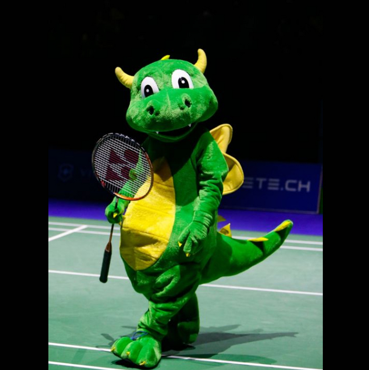 羽毛球# 大家觉得这个龙能打过李梓嘉吗[二哈][二哈]#李梓嘉##安塞龙