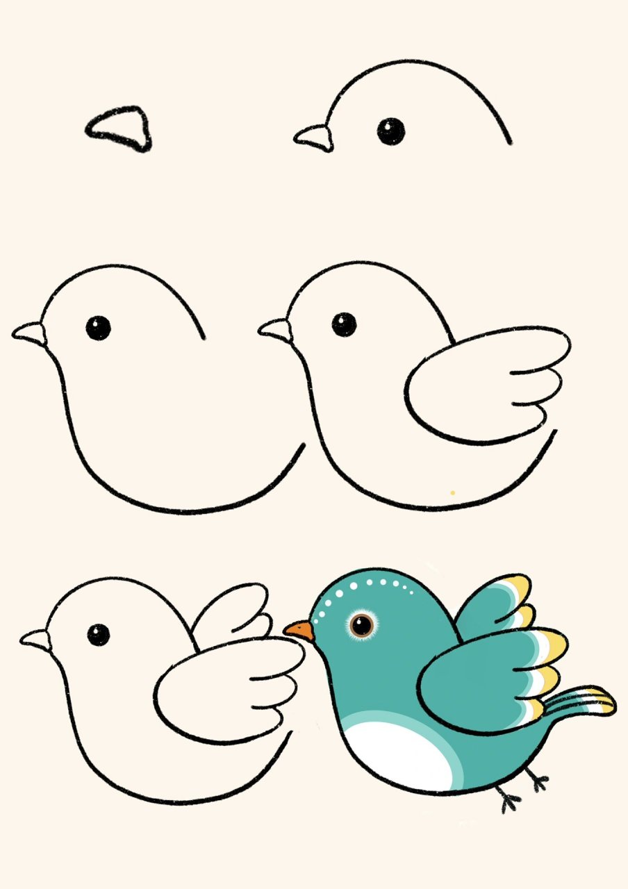 小鸟的简易画法图片