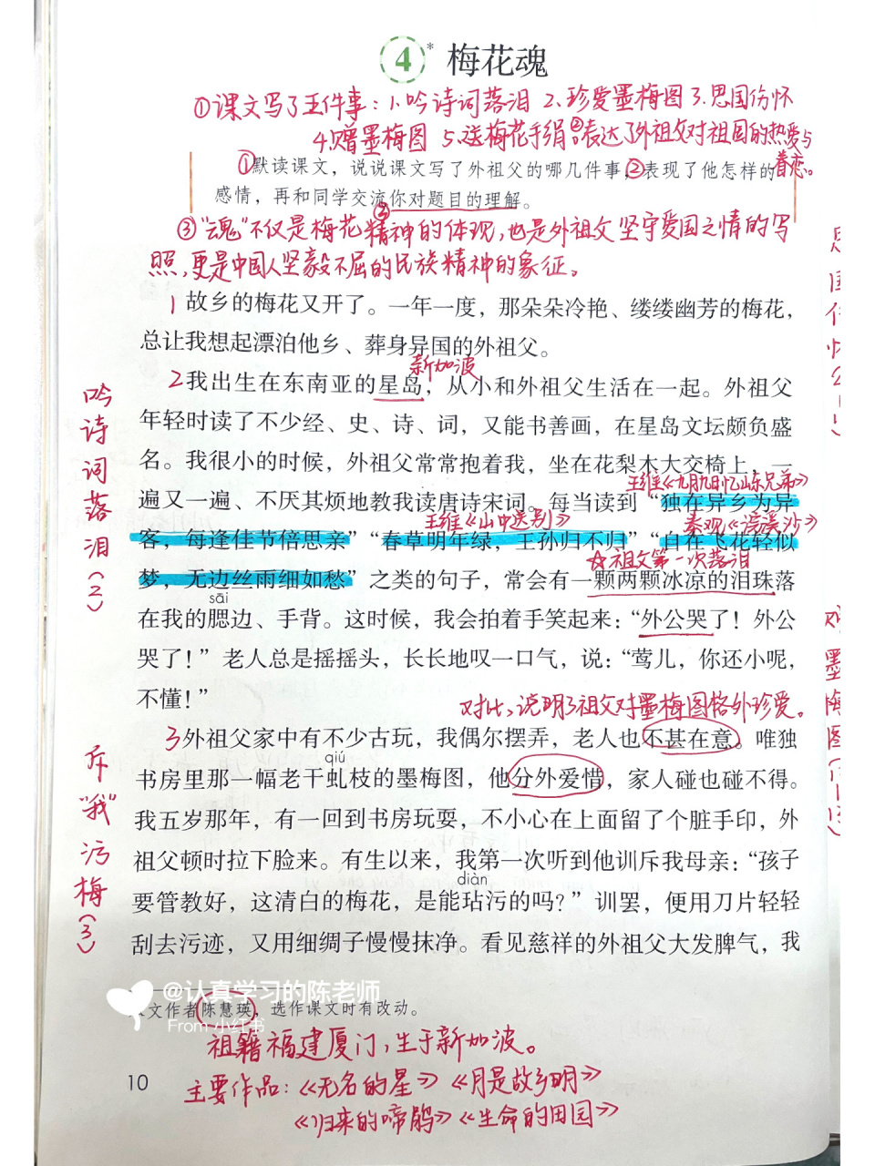 课文笔记|五下第4课《梅花魂》 更新
