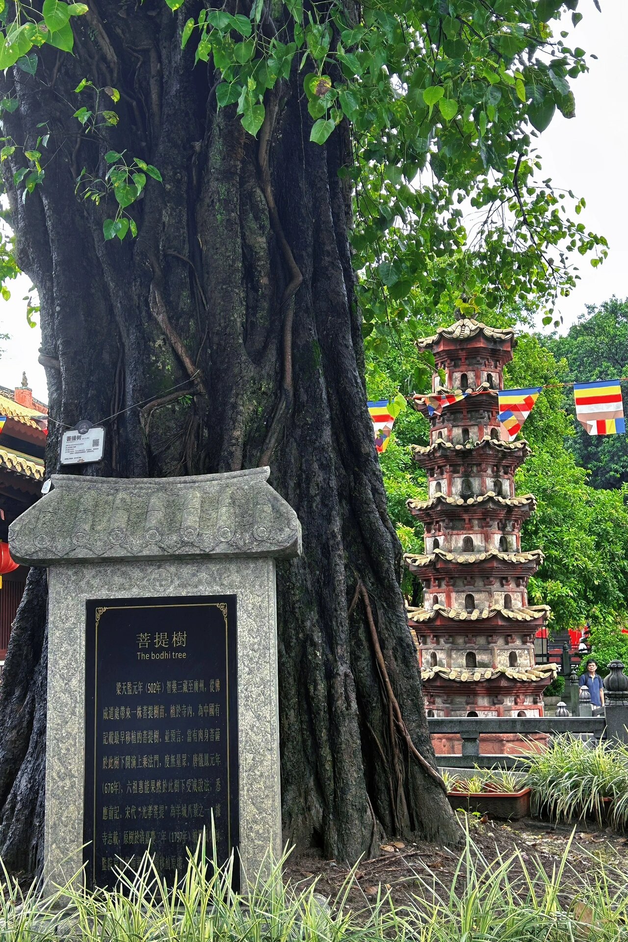 光孝寺|广州最值得去的寺庙