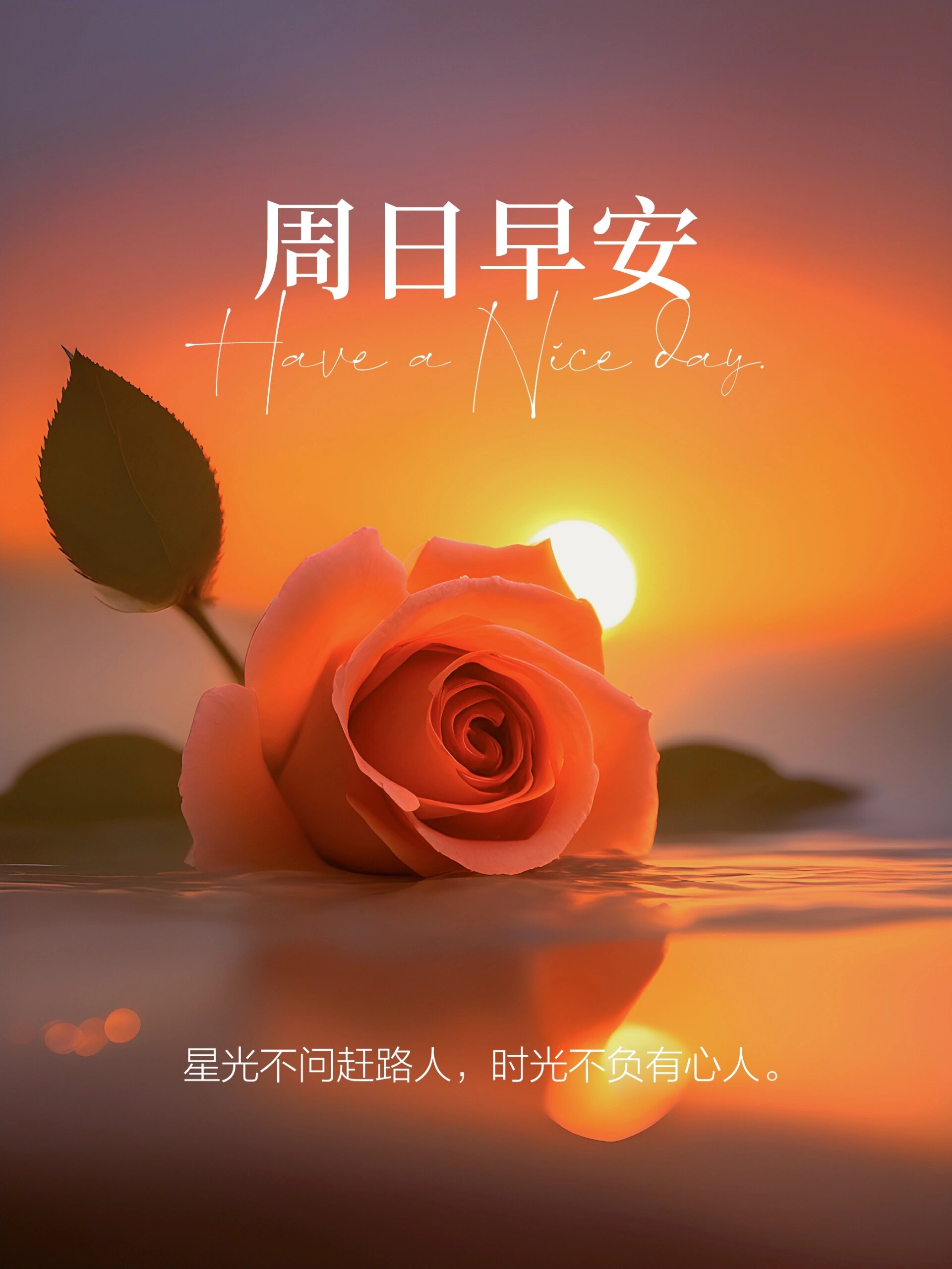 每天更新早上好祝福语和问候,早安祝福语,早上好图片 77清晨,甜甜