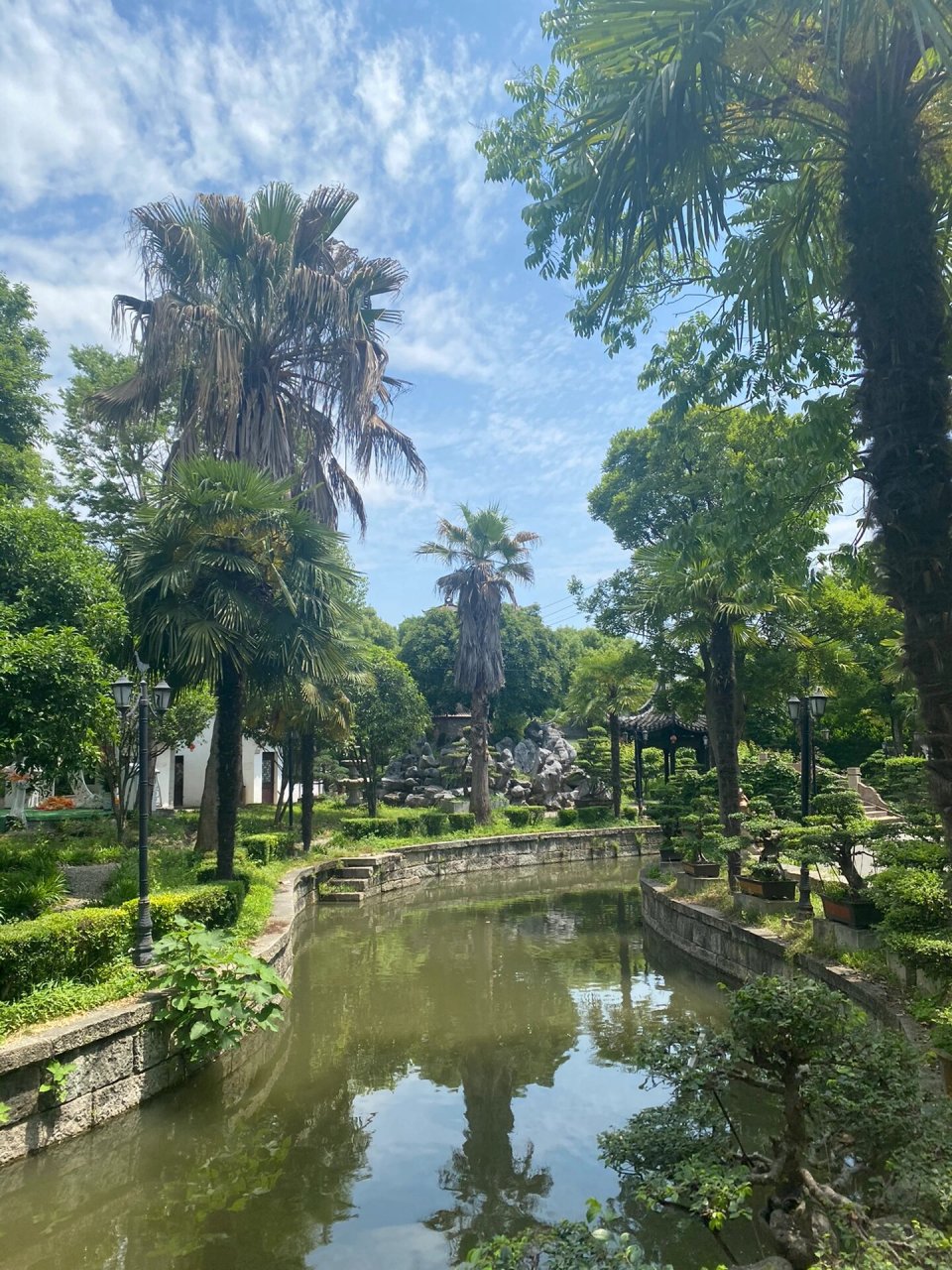 今日徒步江南水乡第一浜|鸽子浜森利园 99位置在桐乡市崇福镇东安村