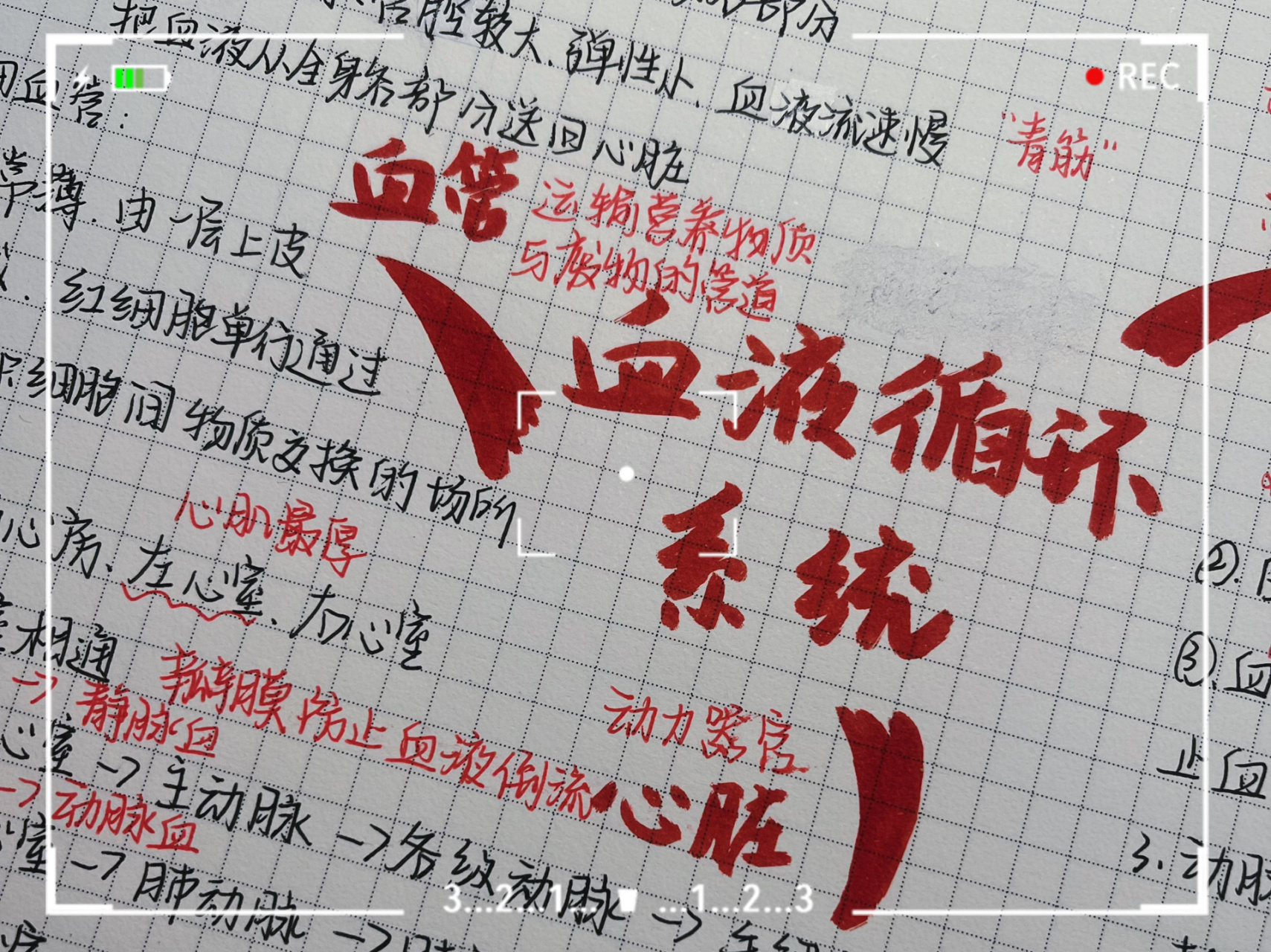 生物思维导图之血液循环系统