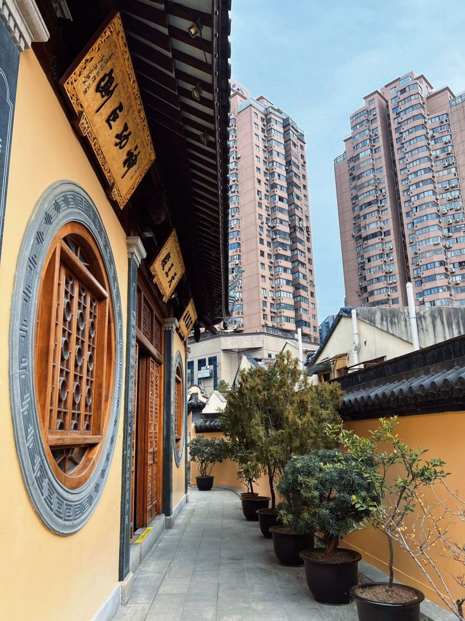 上海|大隐隐于市的寺庙99老西门法藏讲寺 · 平常总喜欢隔段时间就