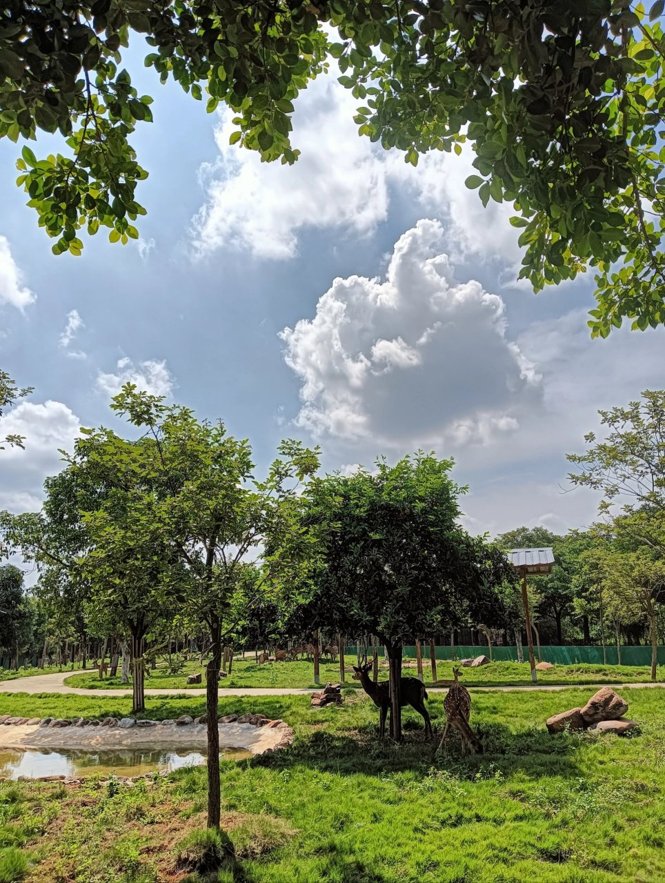 平南雄森动物园 这次出来贵港玩,本来打算玩几天,来个小环线,最后到