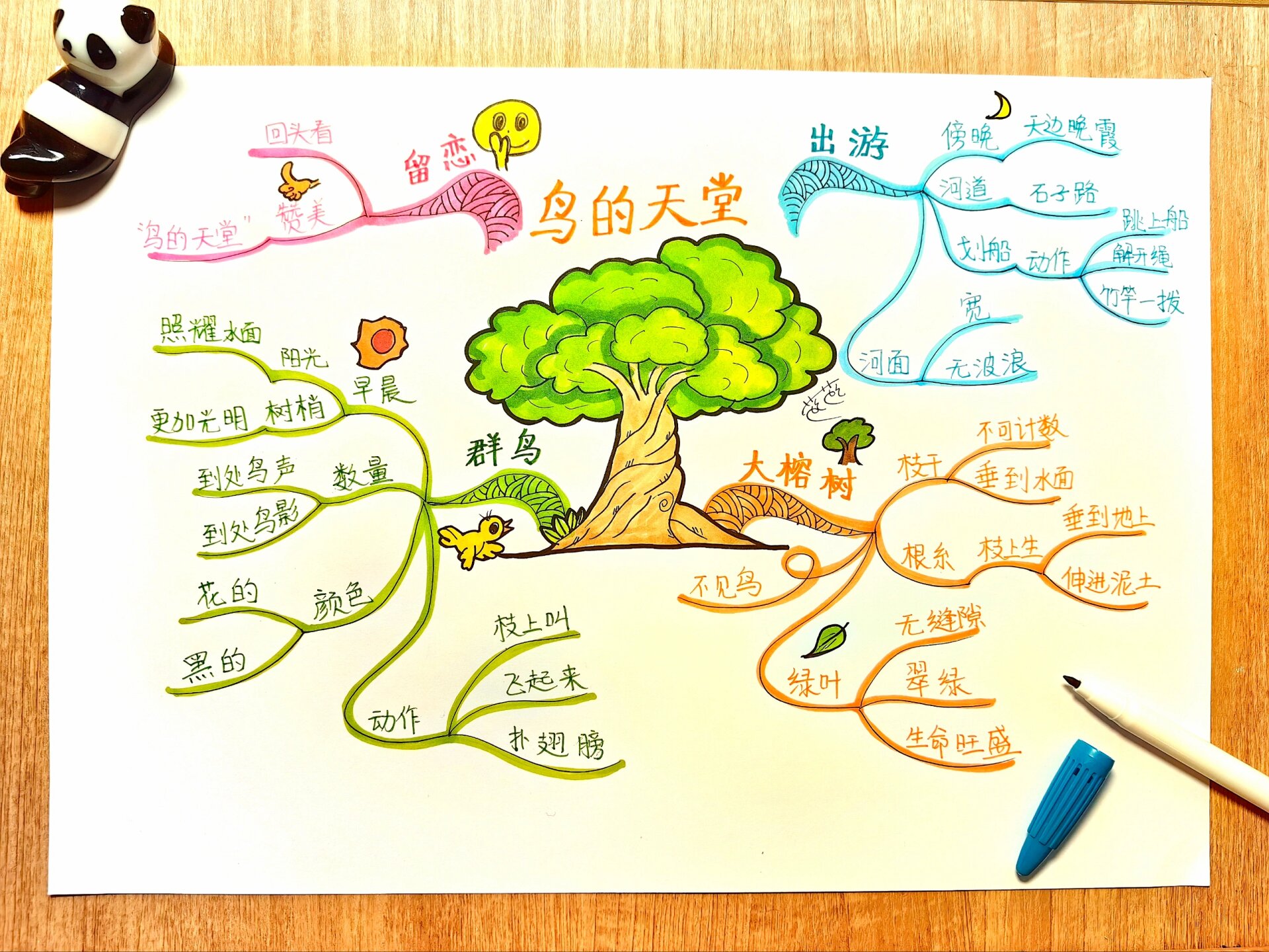 思维导图|五年级课文《鸟的天堂》