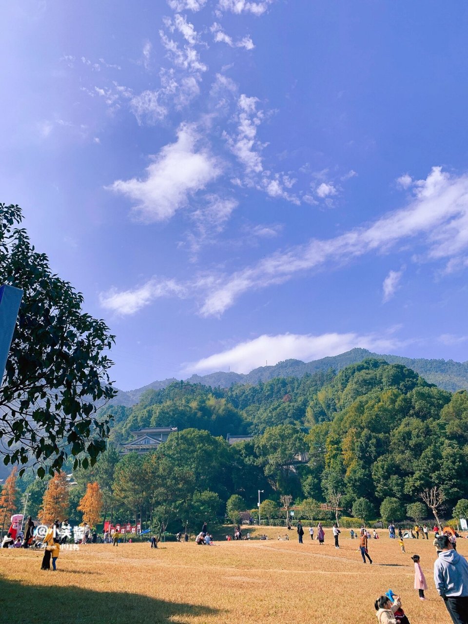 93 最近好多人去南漈的龙湫寺拍枫叶,南漈公园是大部分宁德人心中