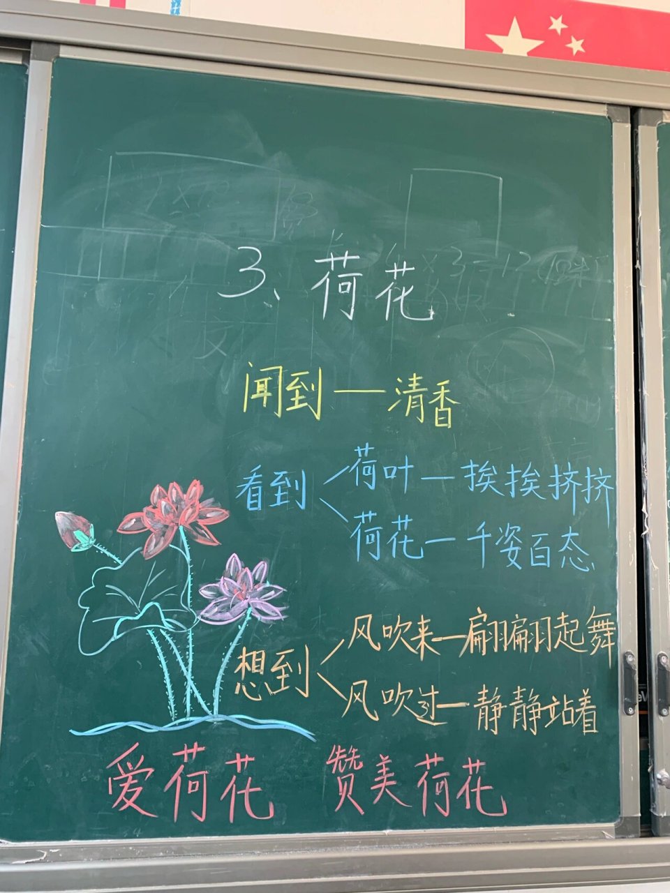 荷花课文板书设计图片图片