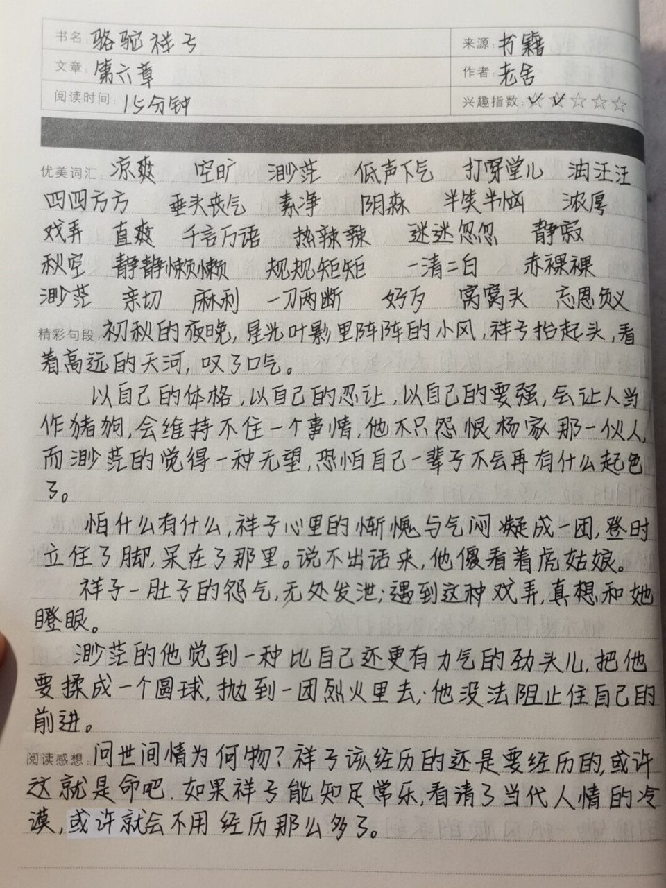 《骆驼祥子》读书笔记第六章 来一波普通的字体,感觉好丑还是用正楷叭