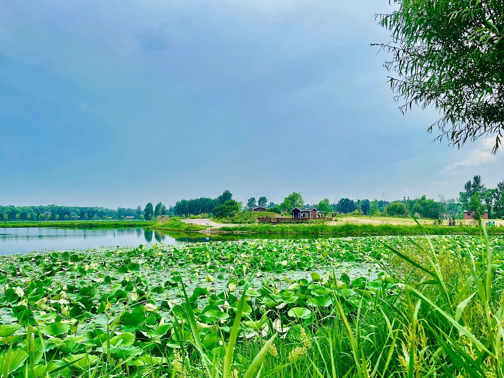 彰武德力格尔草原景区 德力格尔是蒙语,意思是鲜花绽放,开阔明亮的