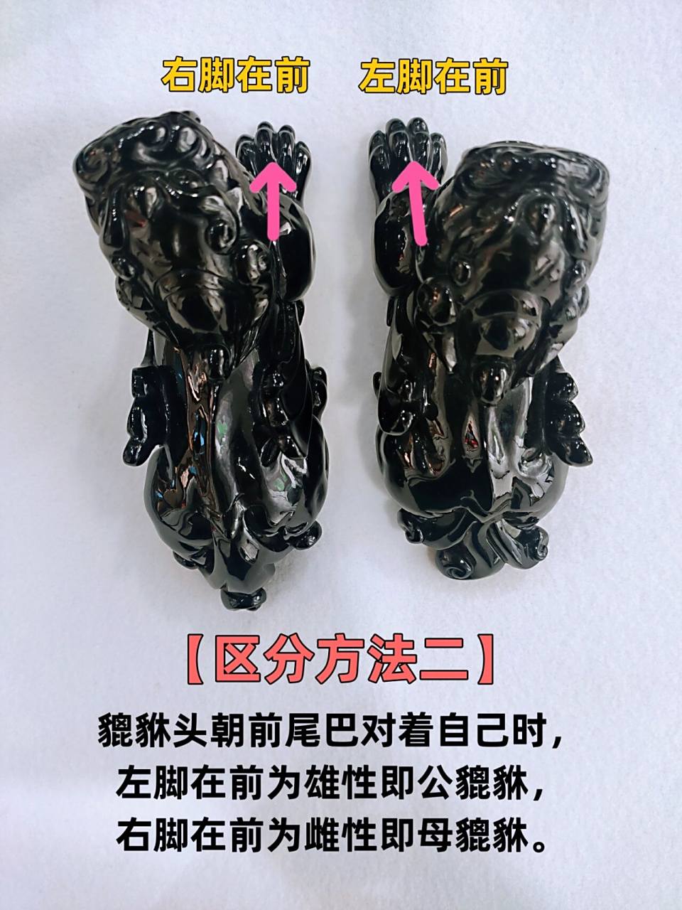 本期来讲,貔貅分公母吗?