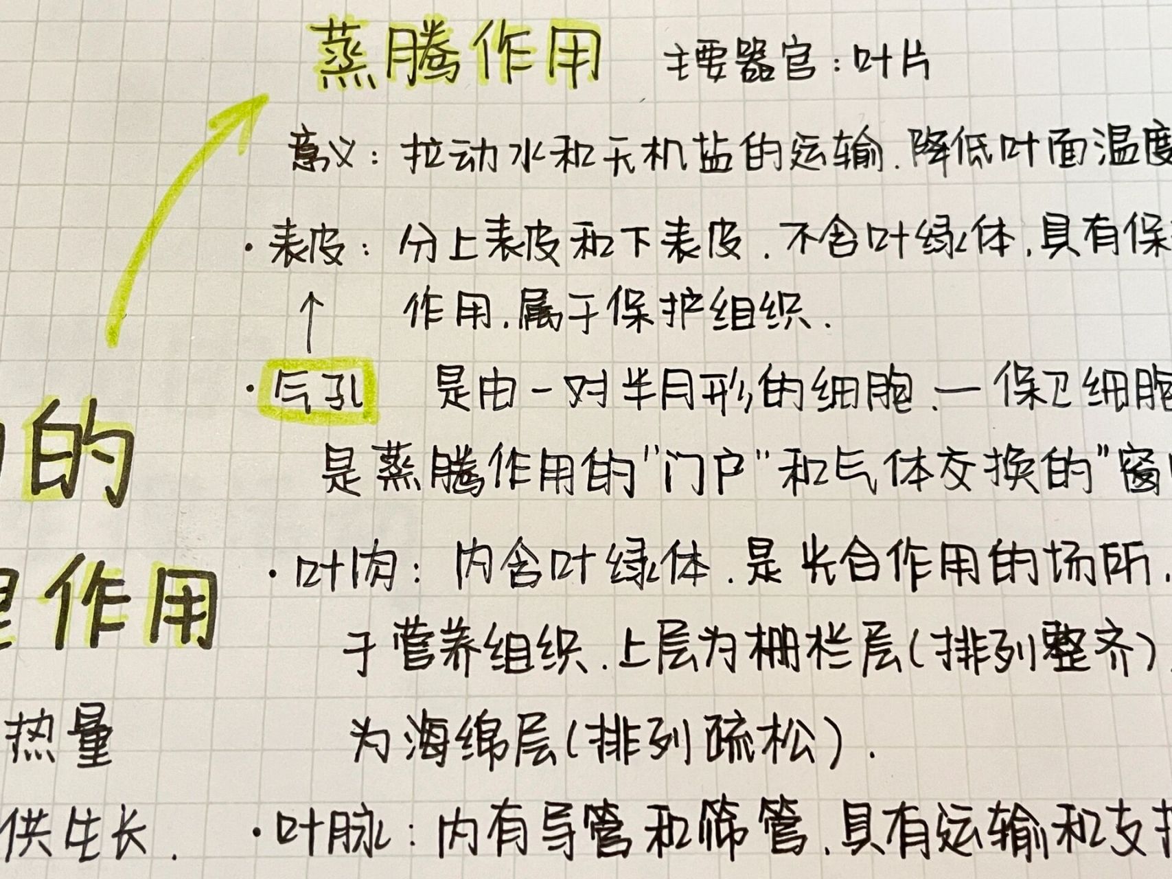 生物-植物的三大生理作用94 又是思维导图 来啦 生物作业   不是