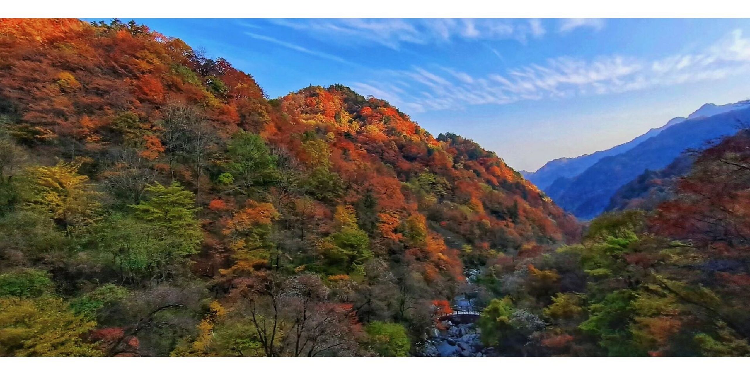 汉中勉县--《云雾山》 每年10月,11月勉县的云雾山都是看风景的好去处
