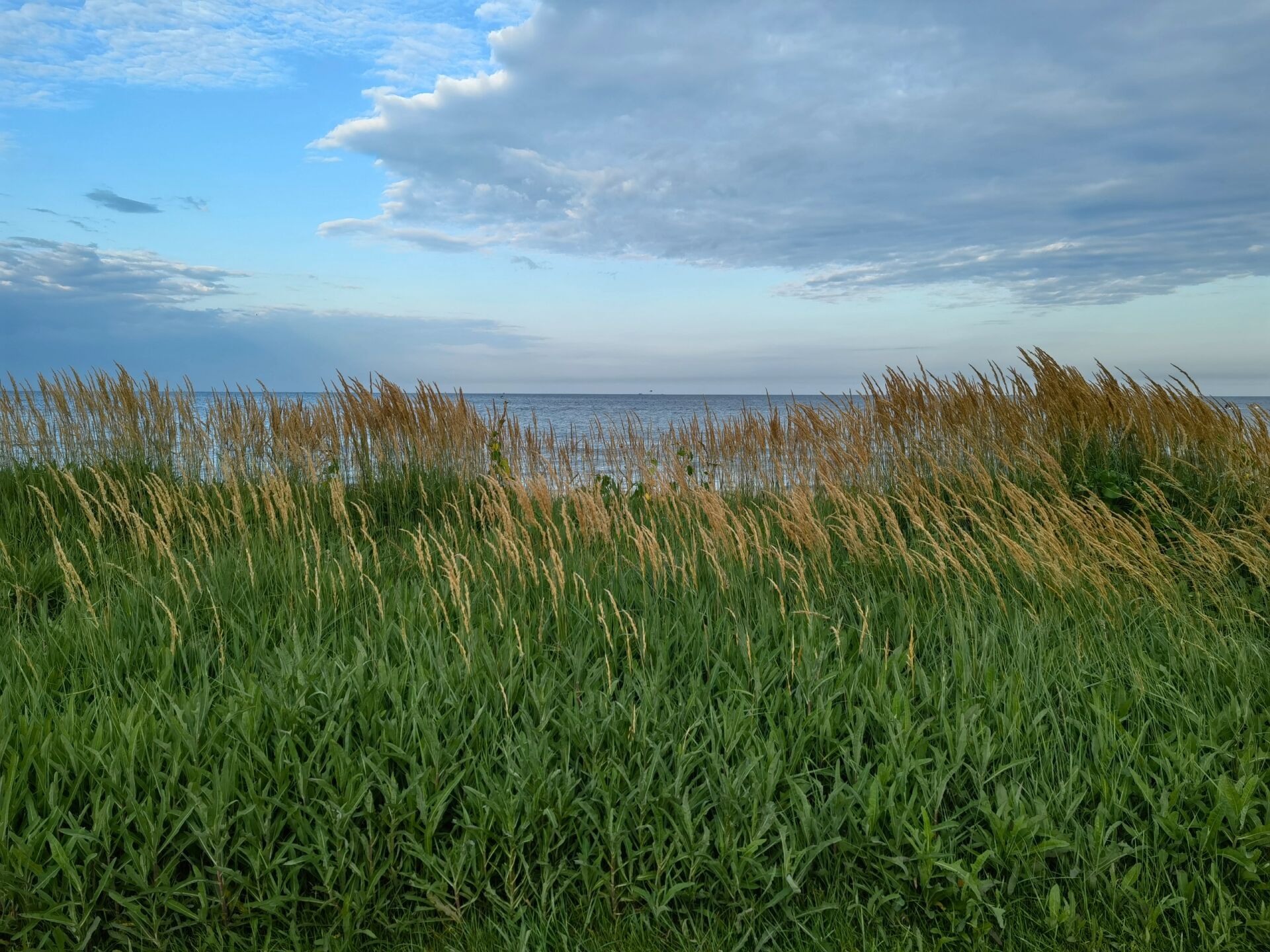 秦皇岛 阿卡小镇