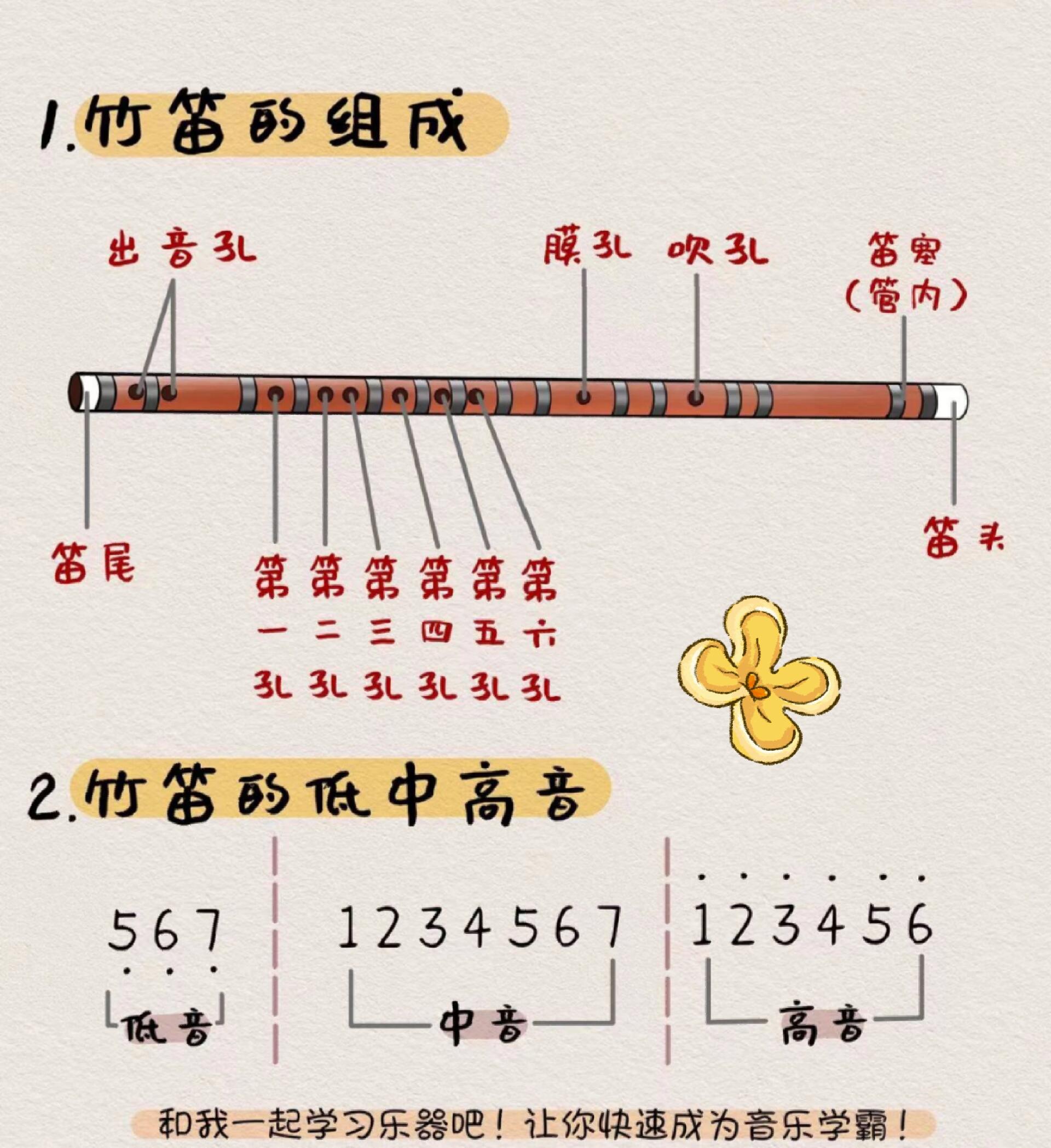 笛子指法表最简单的图片