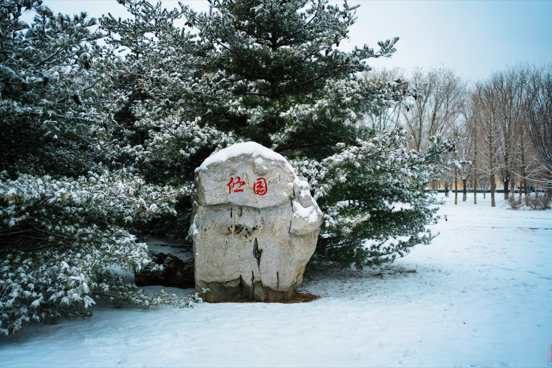 中国公安大学校园风光图片