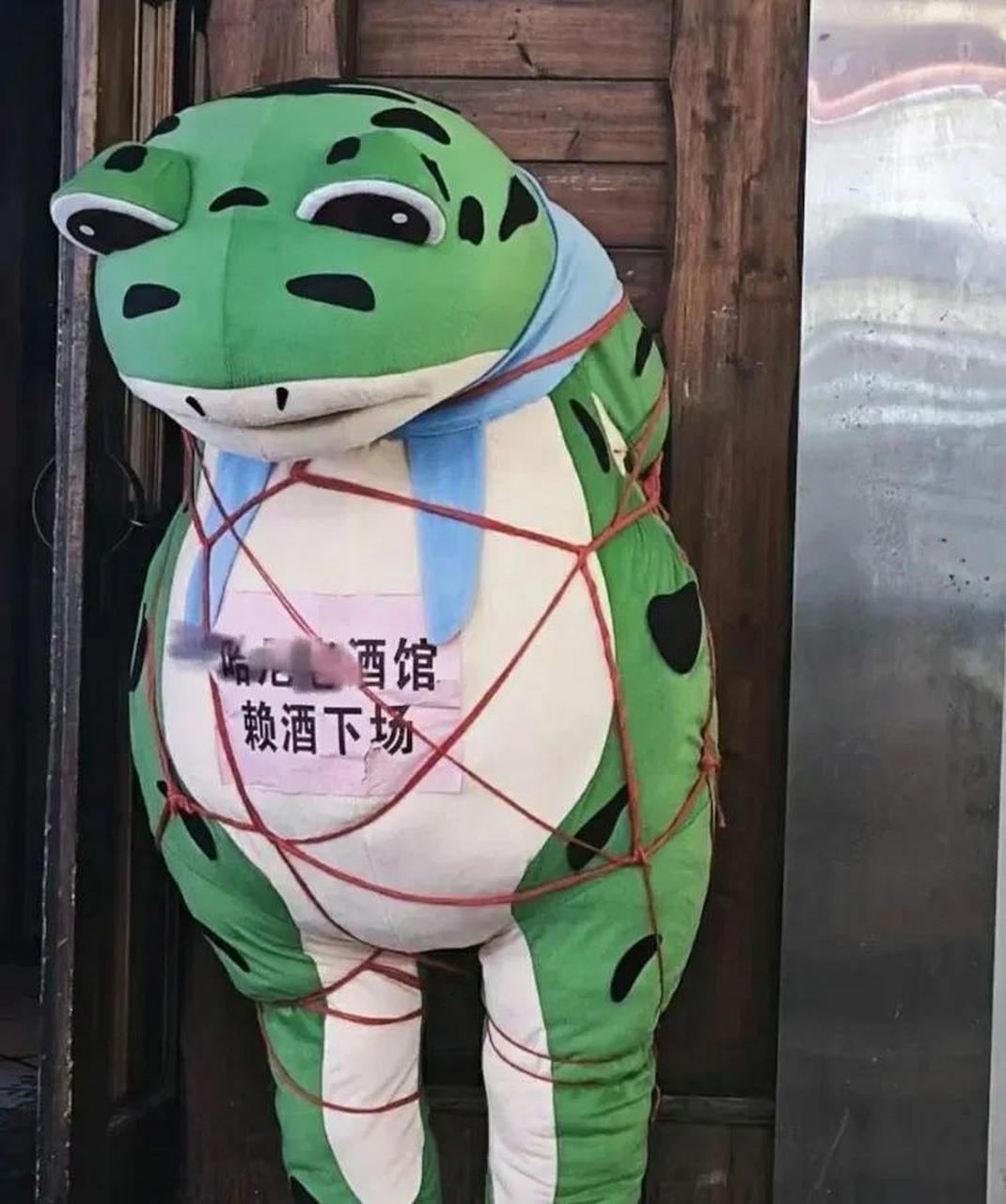 我看谁敢在酒杯里养鱼