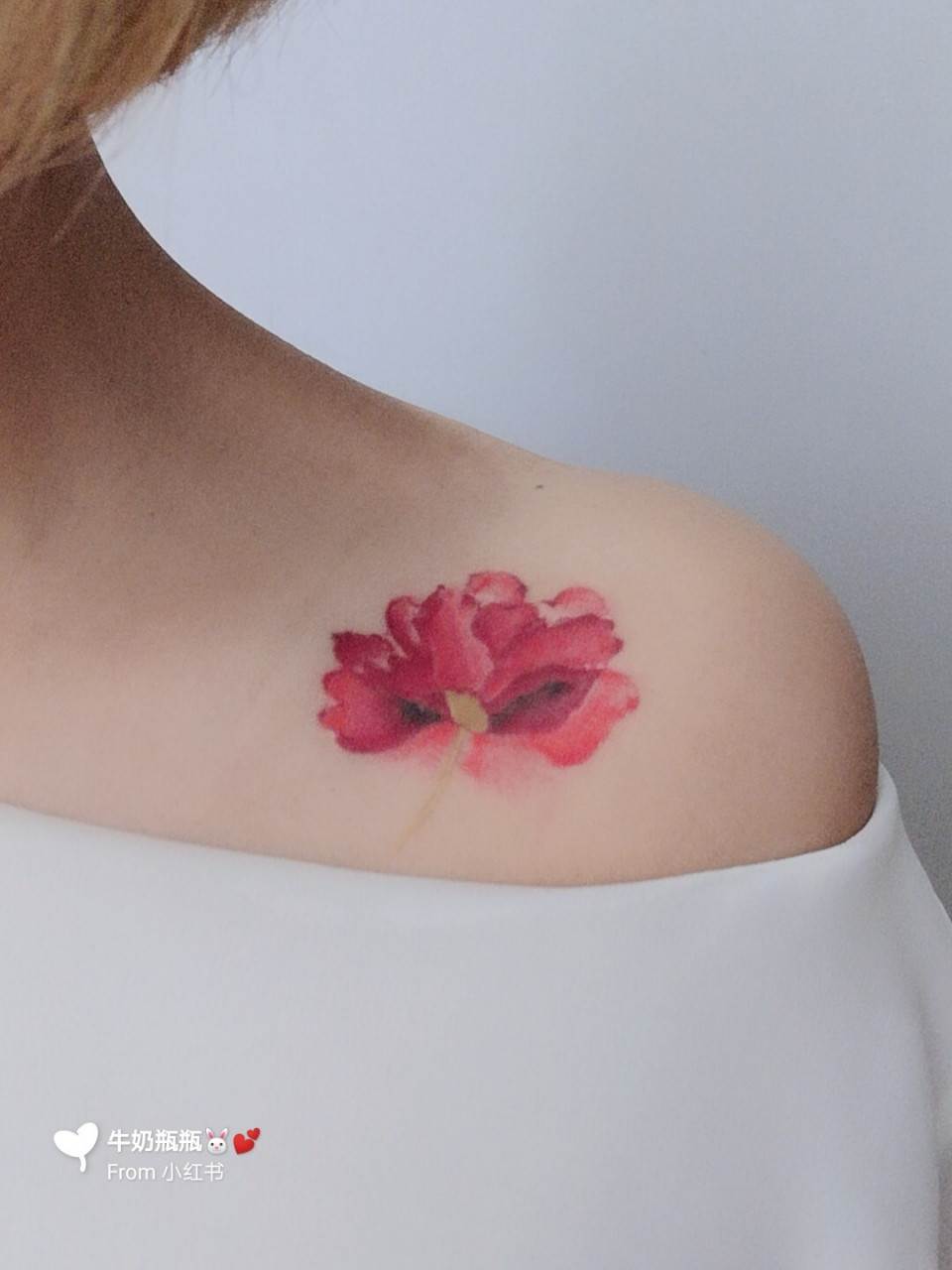 第一个纹身:木槿花78 木槿的花语是"温柔的坚持和坚韧","美丽永恒".