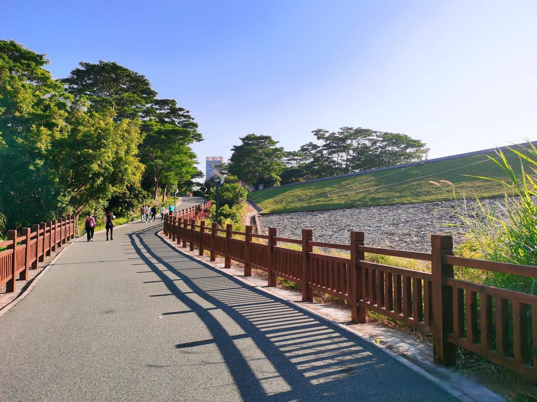 观澜横坑水库绿道,休闲运动遛娃好地方.