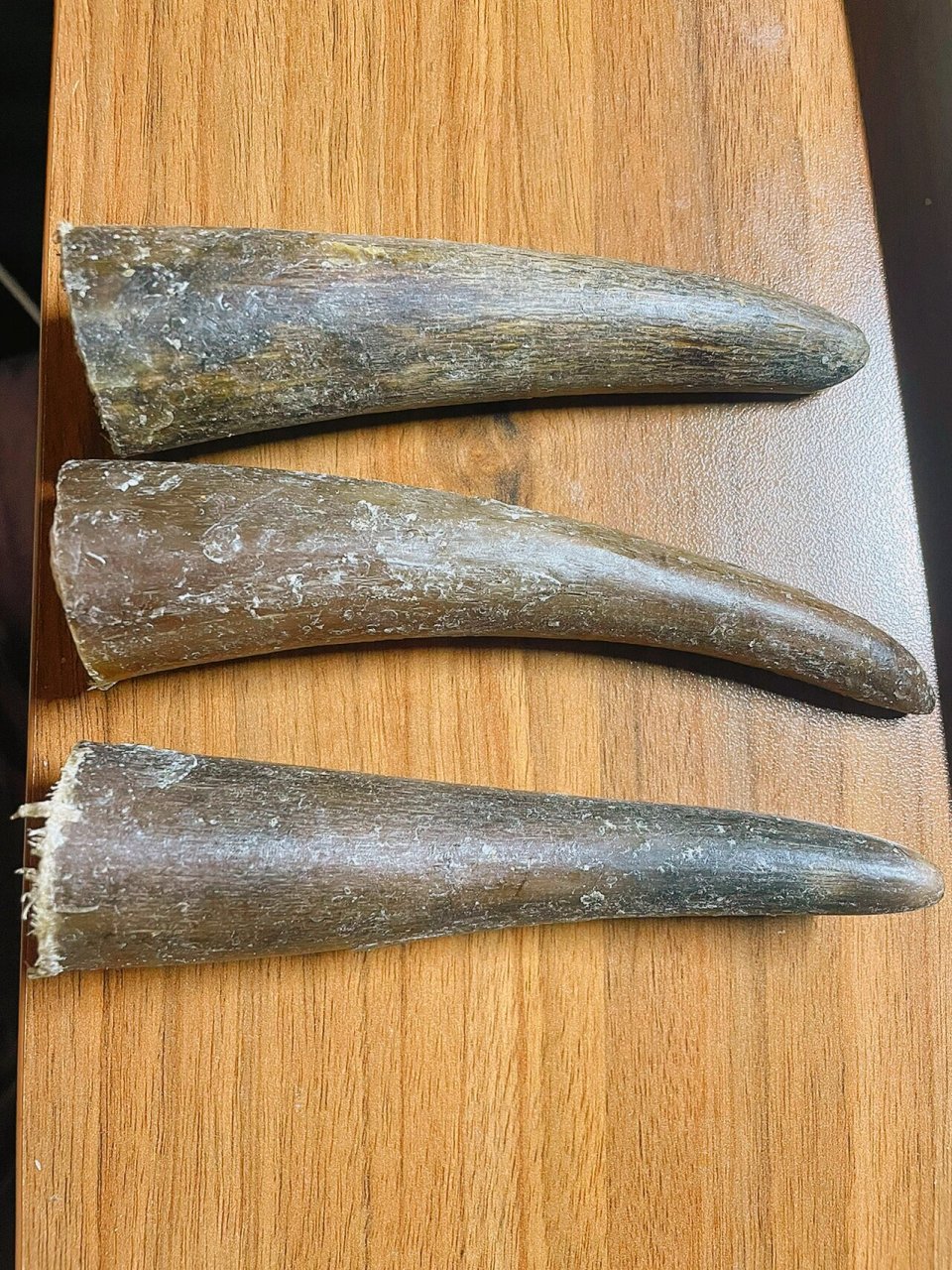 纯手工打磨牛角 购牛角,砂纸一套及抛光条.