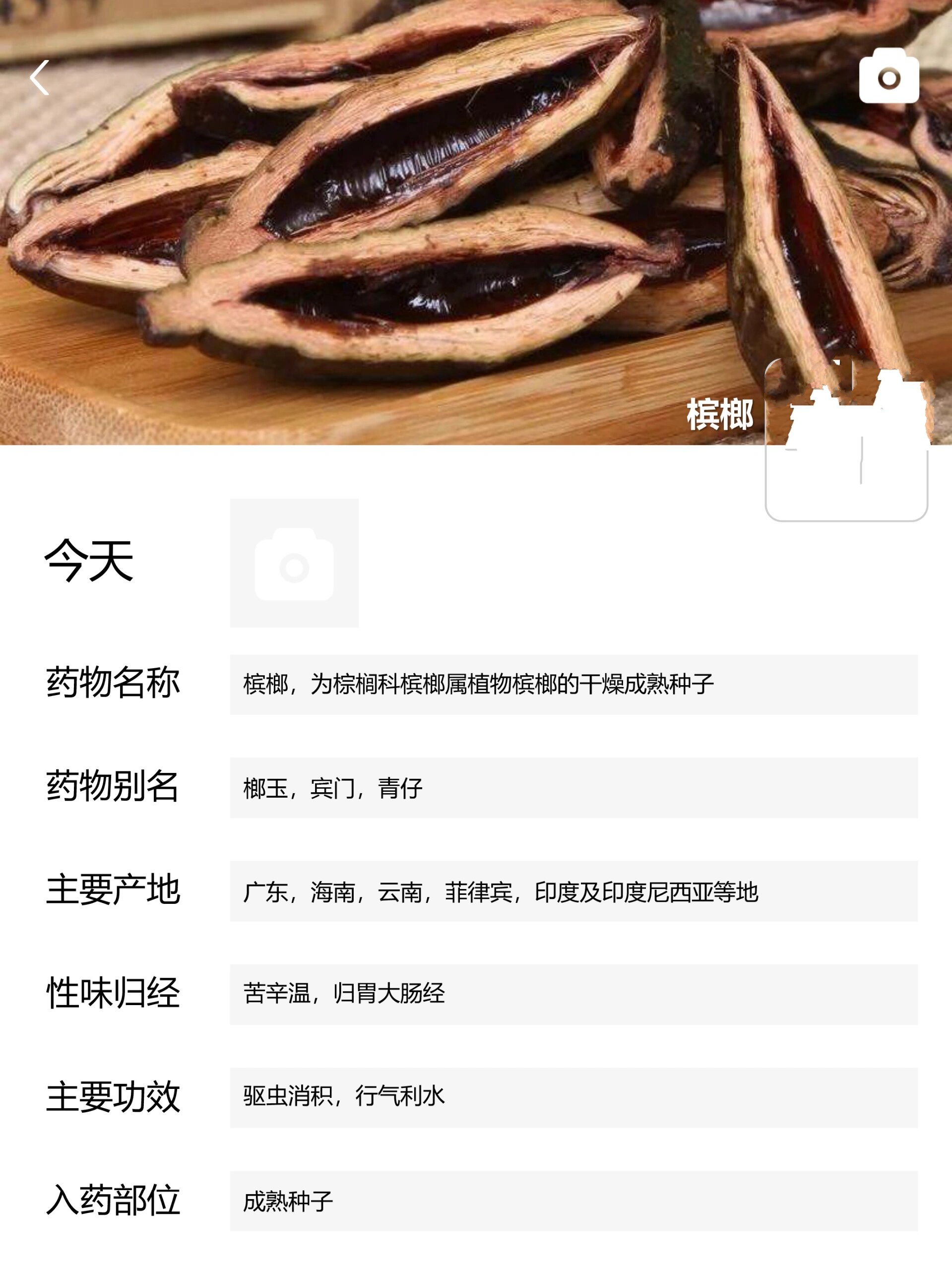 每天认识一味中草药-槟榔🍀-驱虫消积 🍀槟榔,为棕榈科槟榔属植物