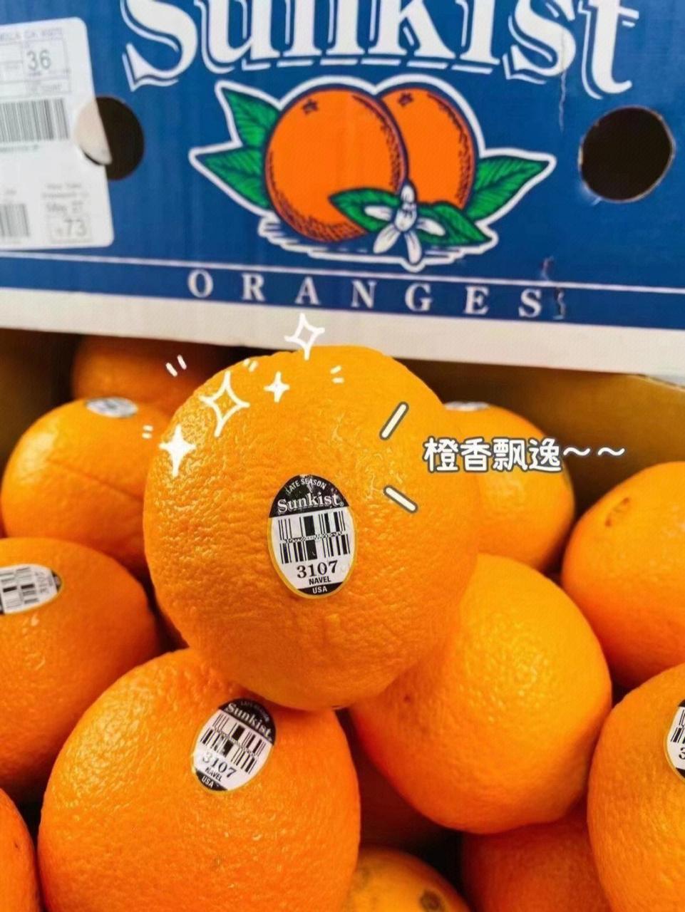 新奇士黑标橙——被阳光亲吻的橙子 【新奇士黑标3107橙】被阳光亲过