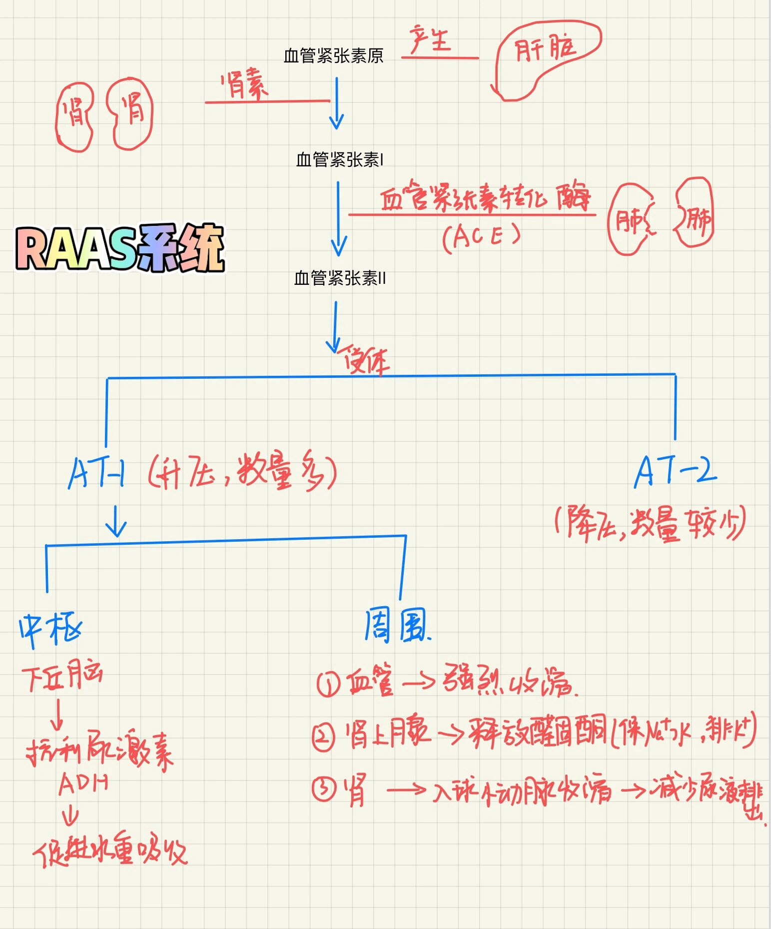 只有医学生才能看懂的图