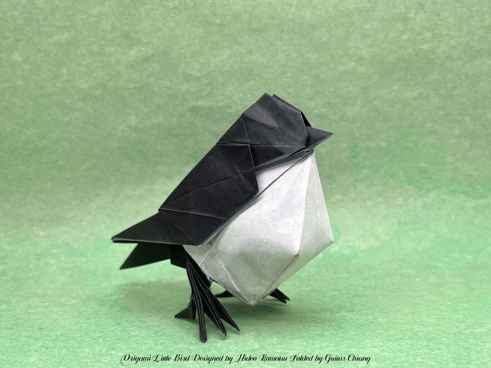 【今日份折纸】小鸟(little bird) 72设计: 小松英夫(hideo komatsu