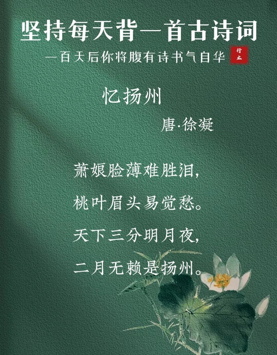 每日诗词37|徐凝《忆扬州》