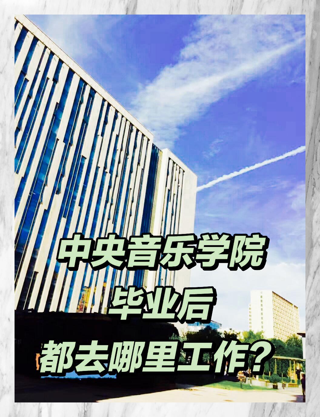 中央音乐学院毕业生职业去向探索