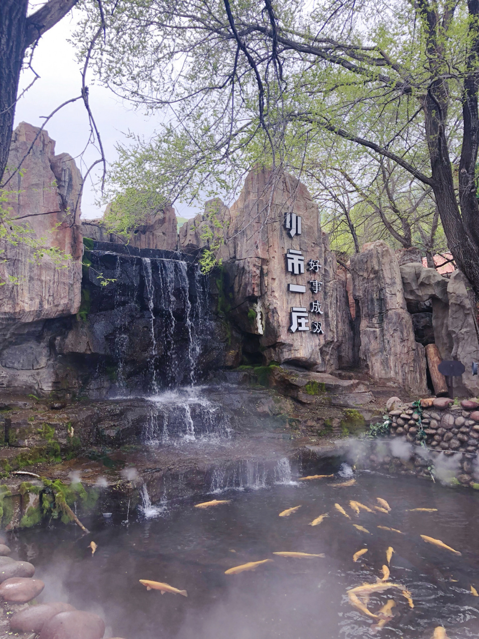 辽宁网红打卡地小市一庄|本溪人第一次去 沈阳开车一个小时就能到这个