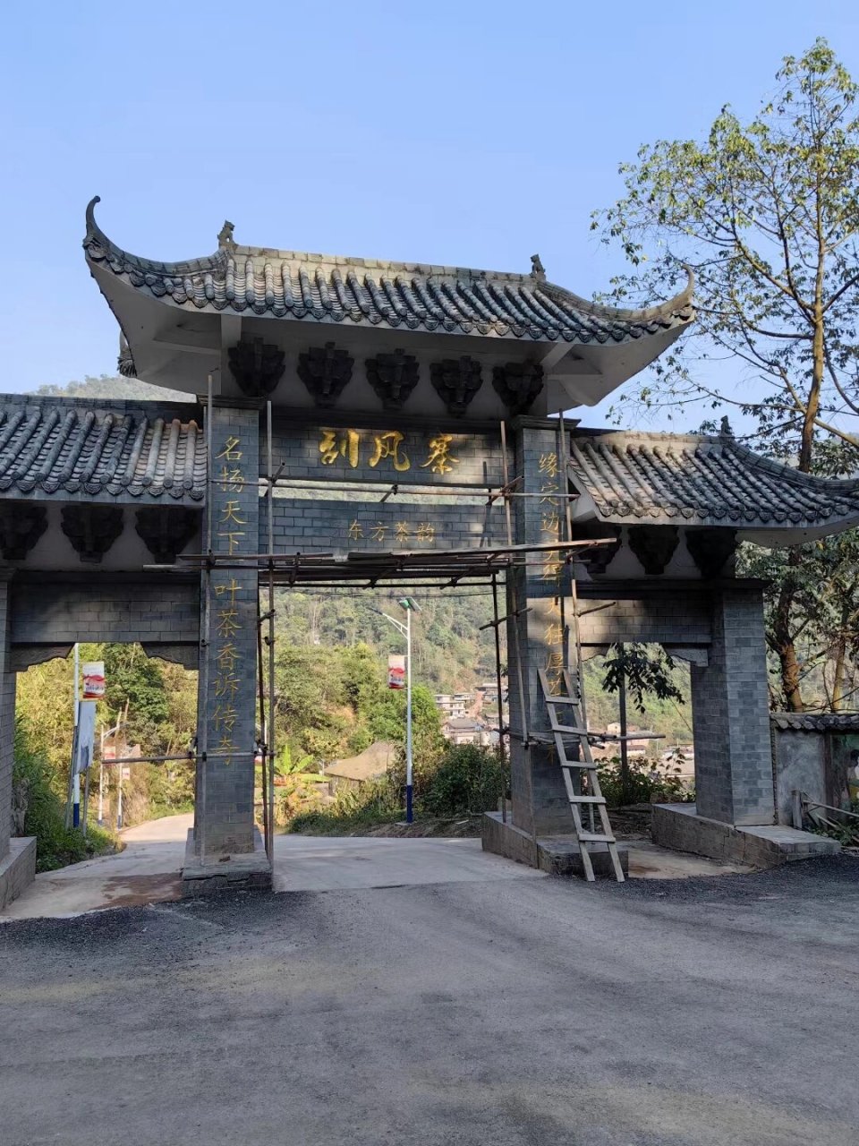 探寻刮风寨茶王树——易武古树茶的顶级山头 刮风寨茶王树之初步印象