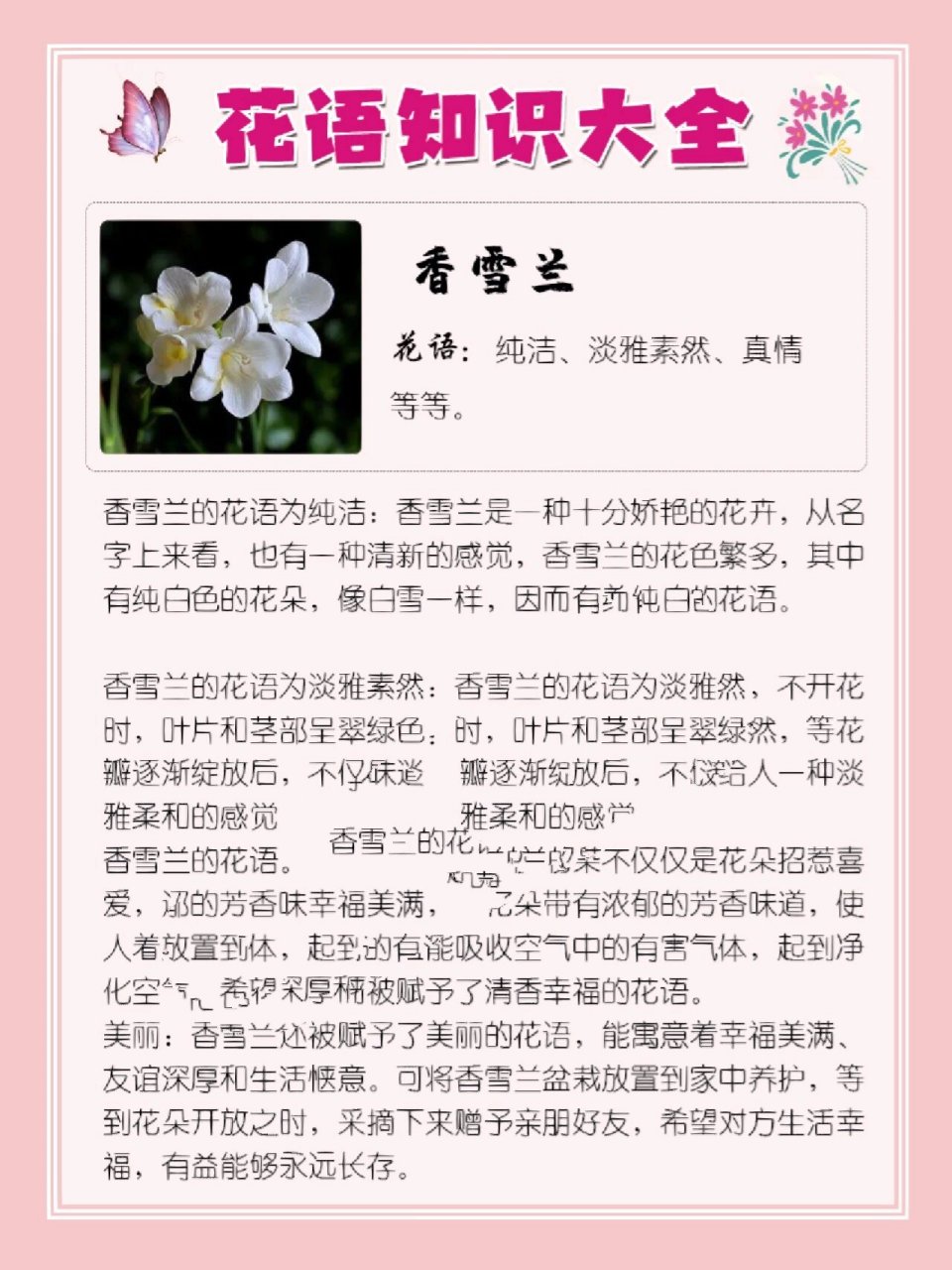 157‖香雪兰花语 香雪兰 花语:纯洁,淡雅素然,真情等等.
