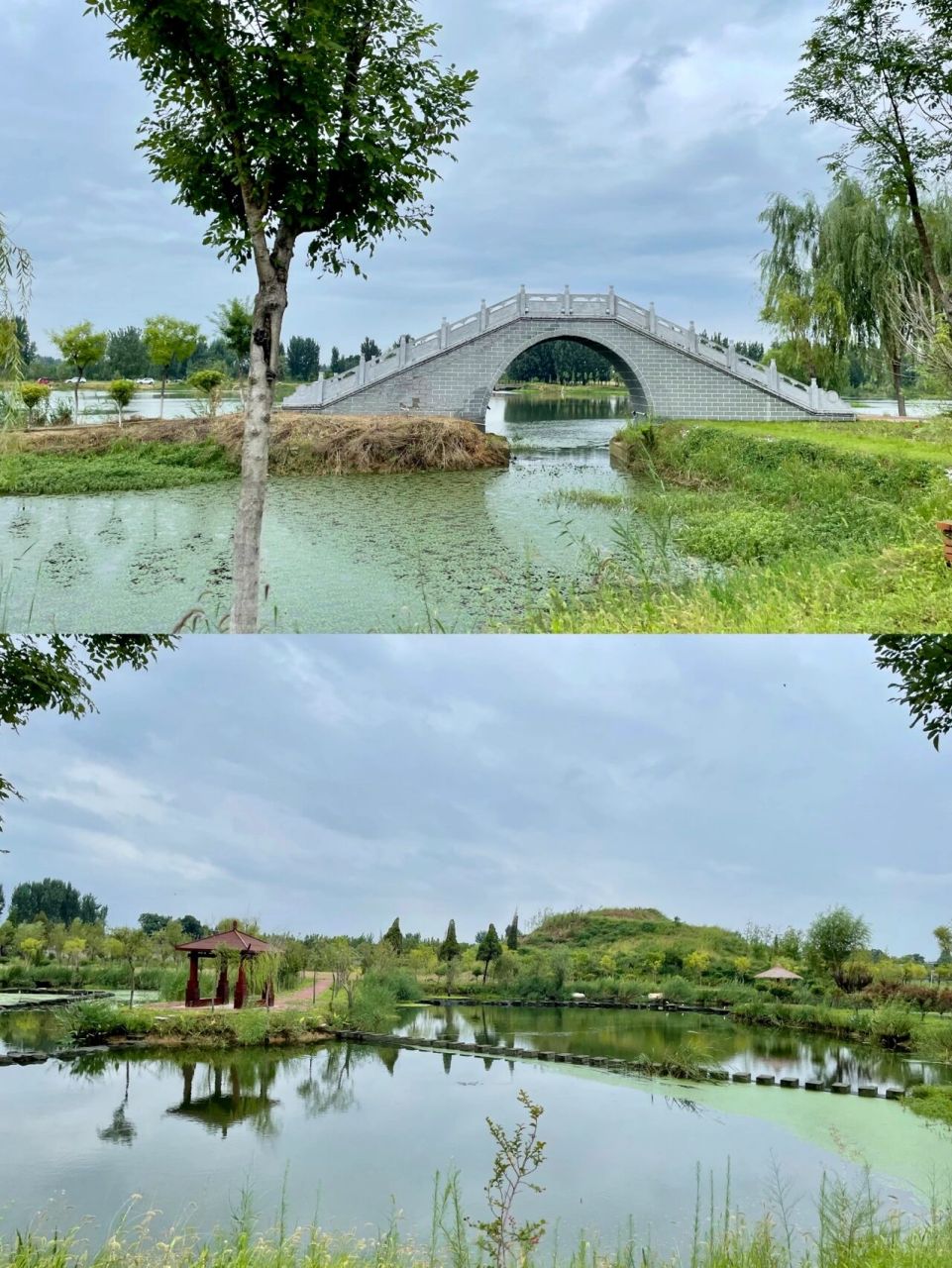 枣庄周边游07去月亮湾呼吸新鲜空气99 - 7515 月亮湾湿地公园